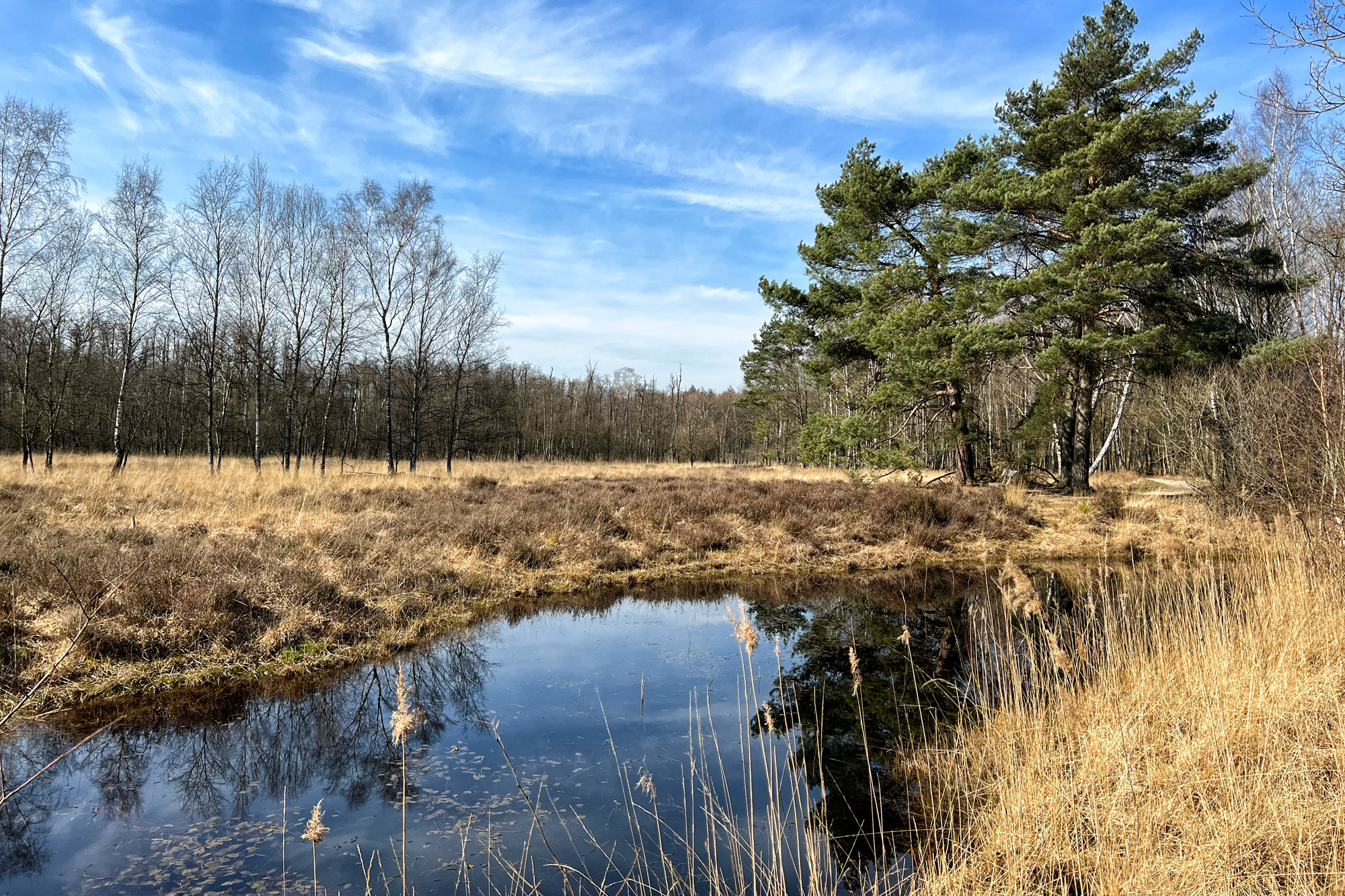 Wandelen in Limburg/Duitsland - Schwalmbruch