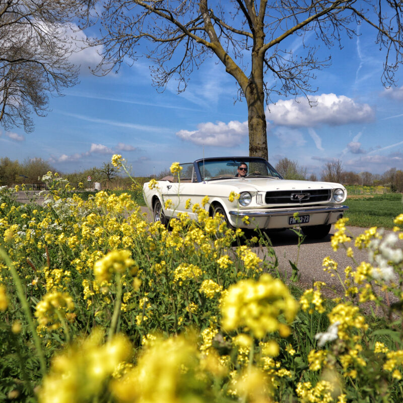 Escape Room in een oldtimer van We Love Oldtimers - Ford Mustand Cabrio