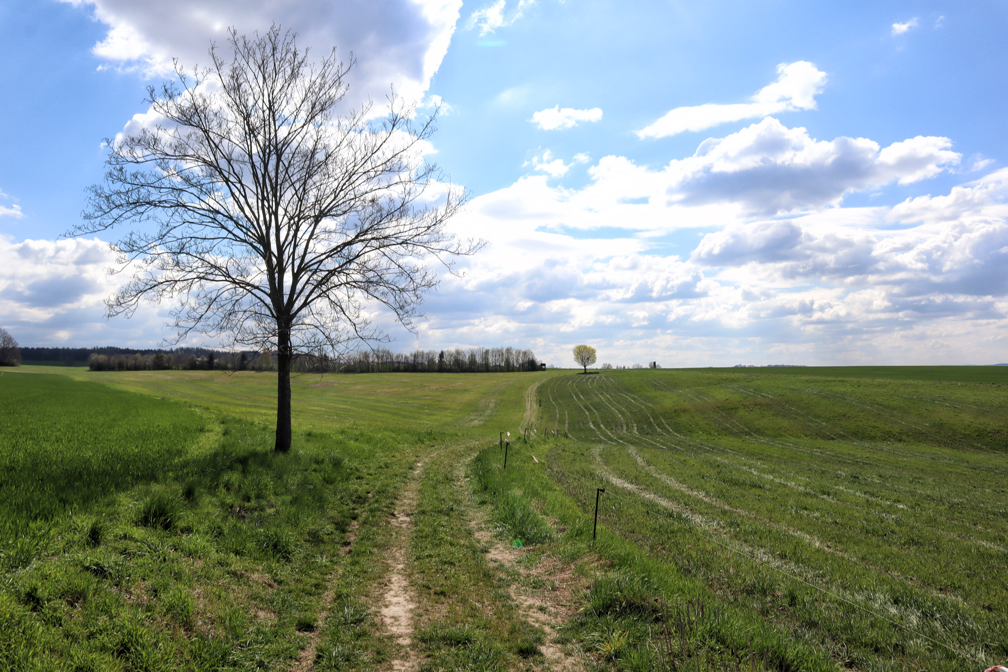 Wandelen in Duitsland - Etappe 1 van de Malerweg