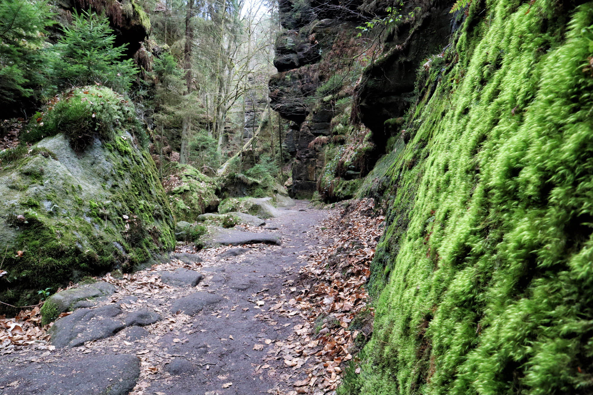 Wandelen in Duitsland - Etappe 1 van de Malerweg