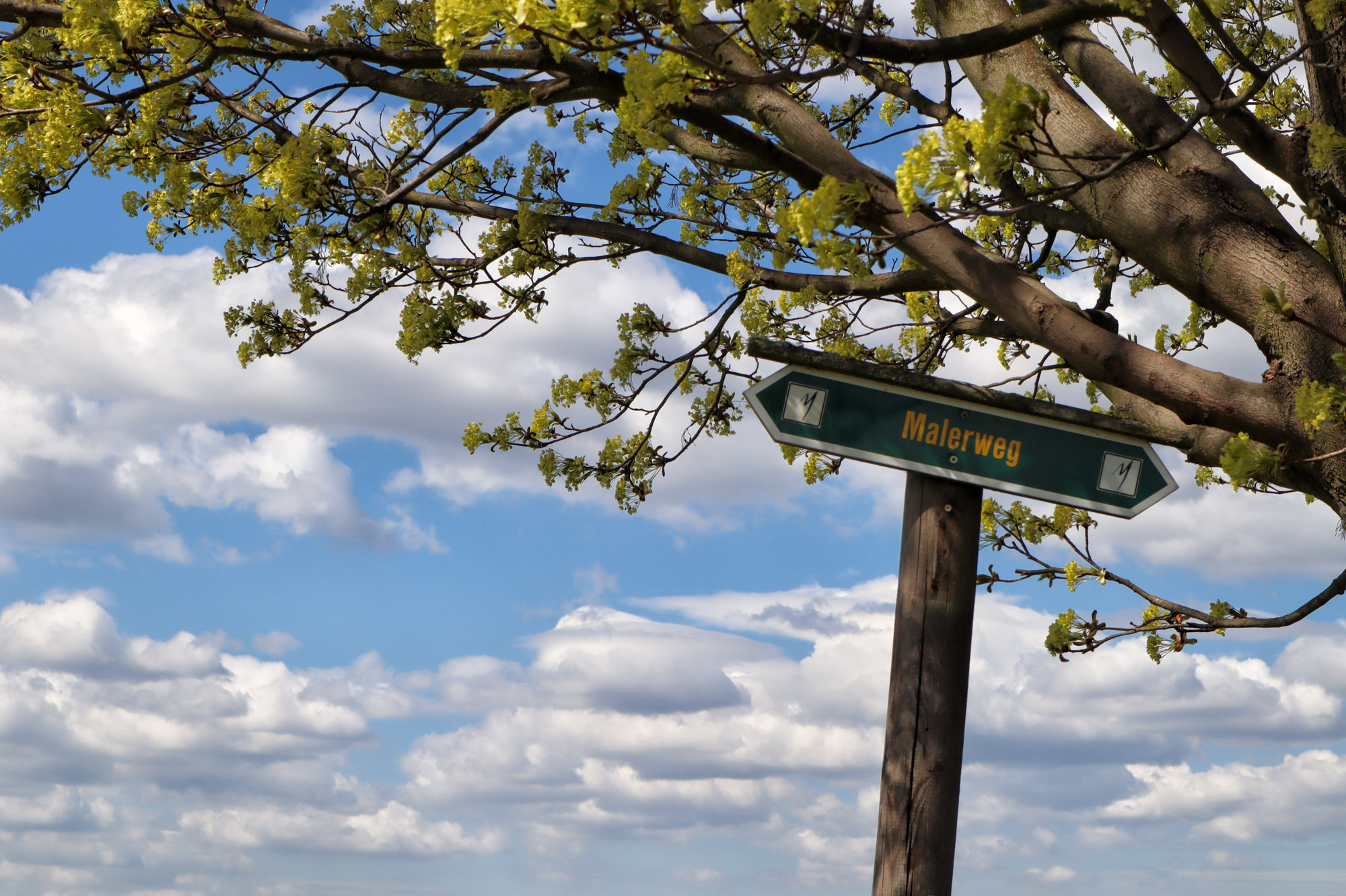 Wandelen in Duitsland - Etappe 1 van de Malerweg