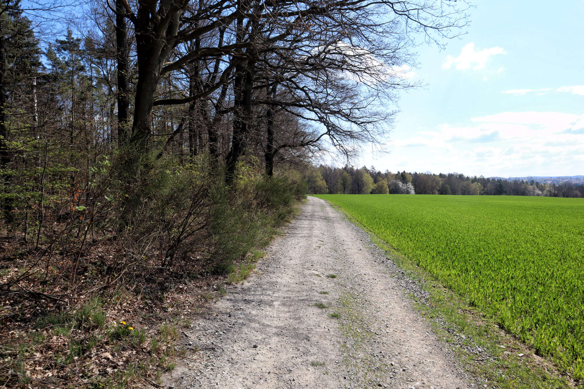 Wandelen in Duitsland - Etappe 1 van de Malerweg