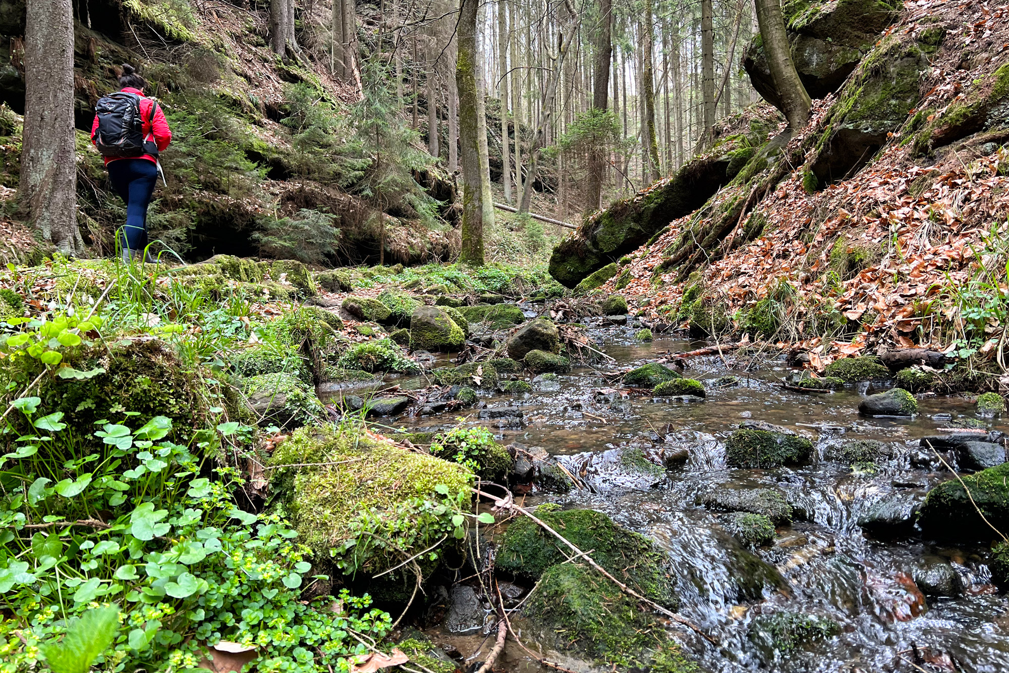 Wandelen in Duitsland - Malerweg Etappe 2