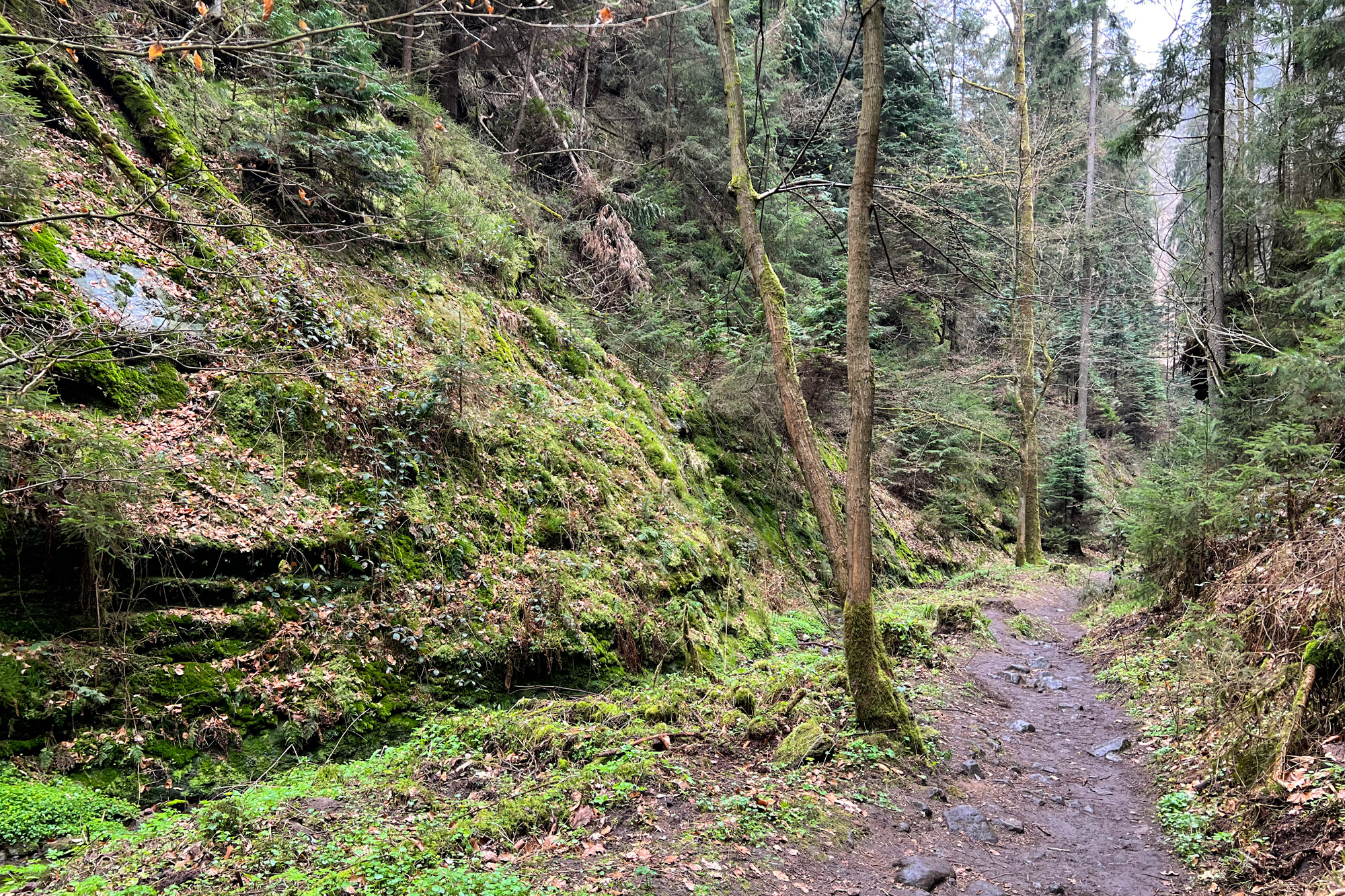 Wandelen in Duitsland - Malerweg Etappe 2