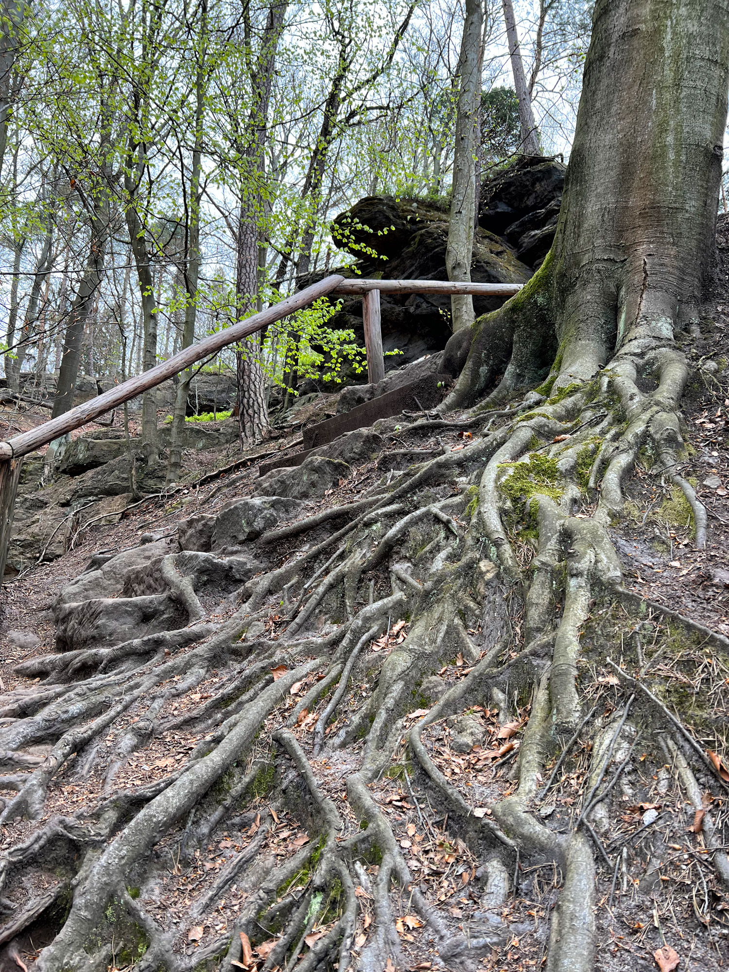 Wandelen in Duitsland - Malerweg Etappe 2