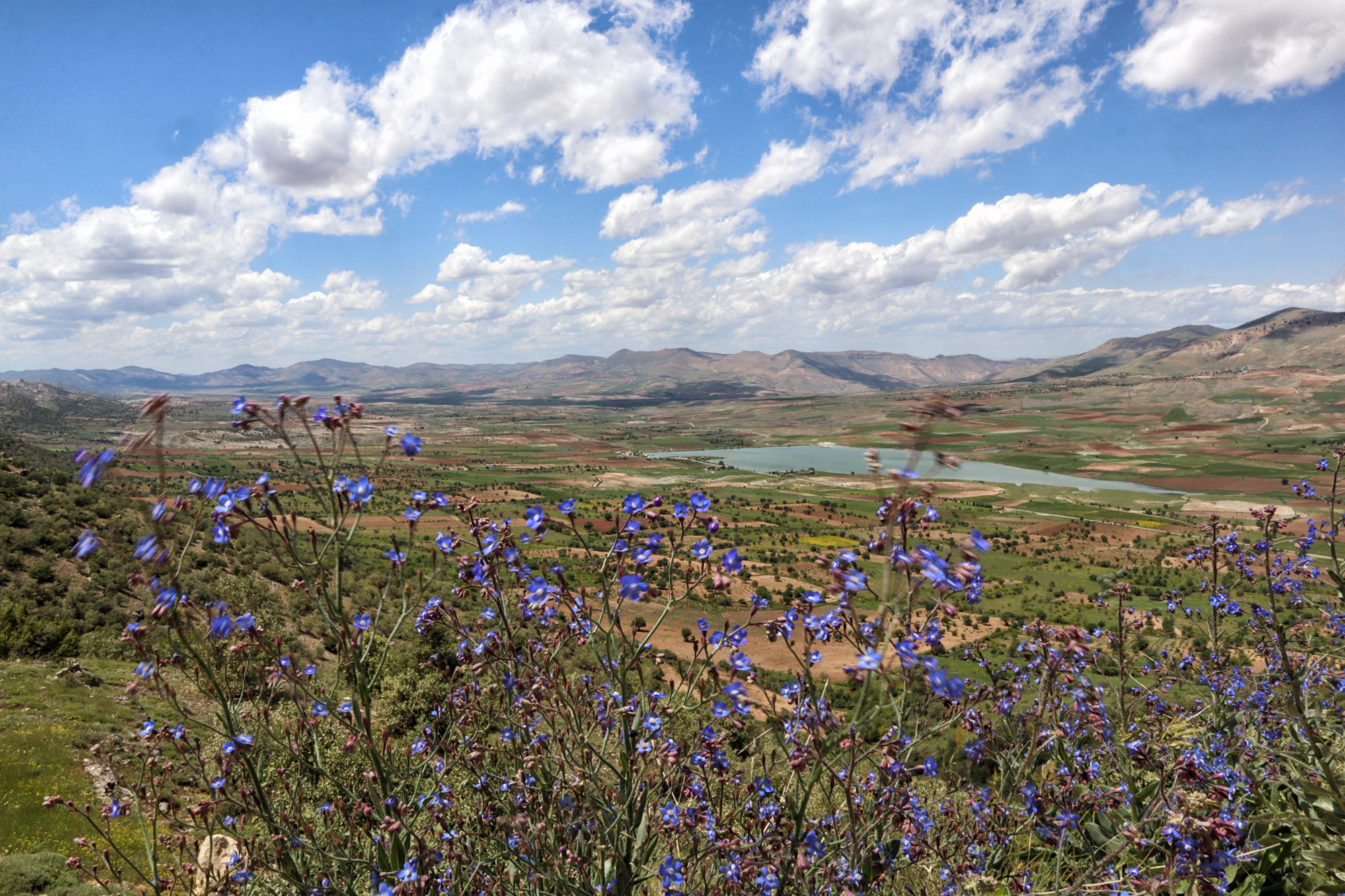 Reisroute Zuidoost-Anatolië, Turkije - Kirkat Göleti