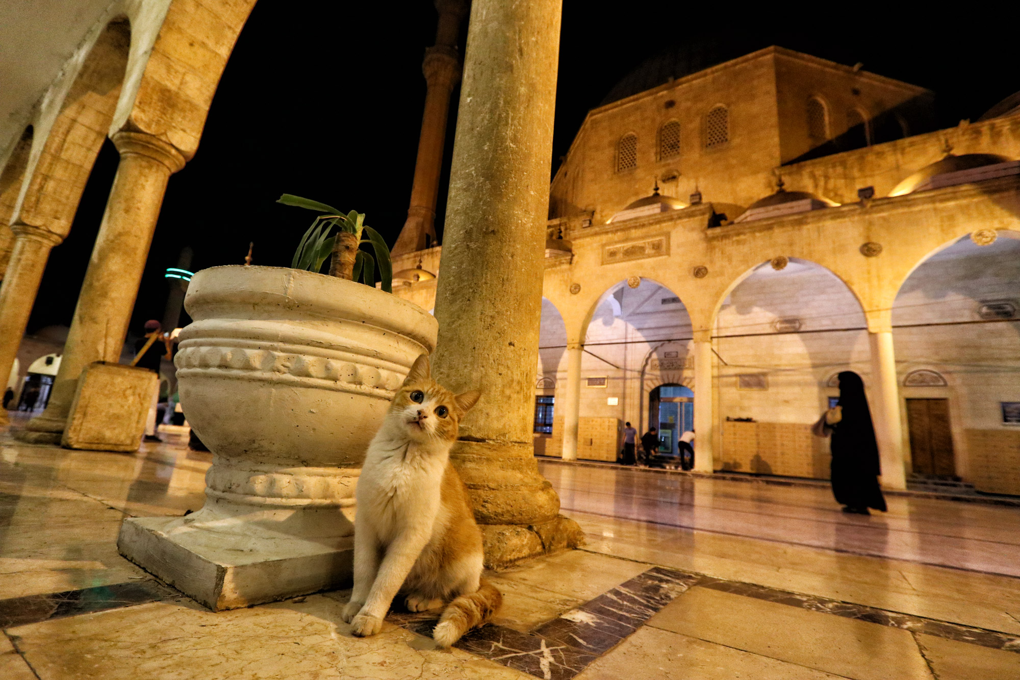 Reisroute Zuidoost-Anatolië, Turkije - Şanlıurfa