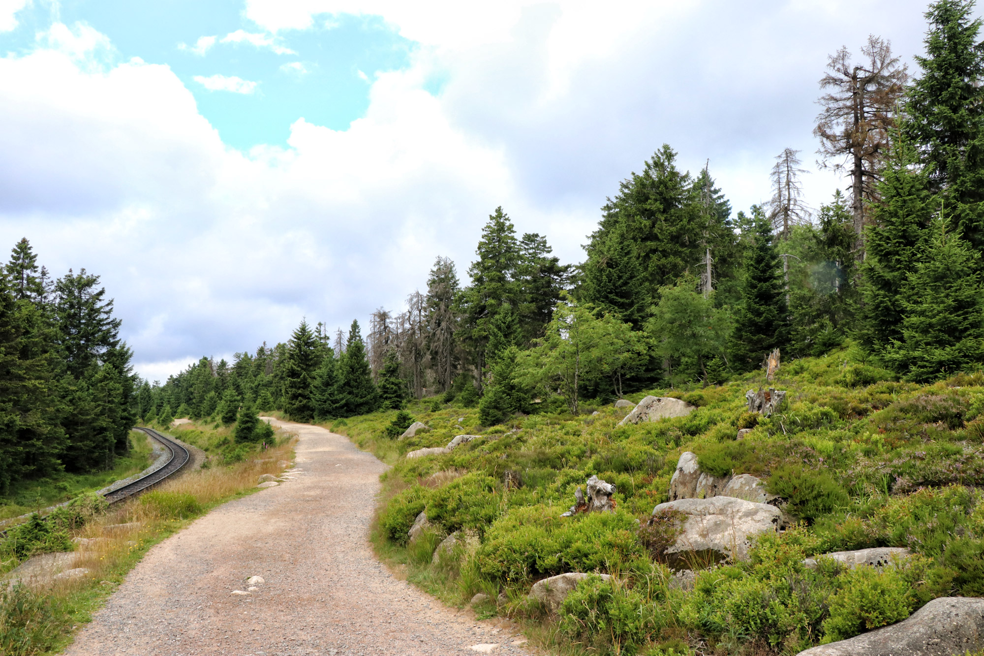 Harzer Grenzweg - Etappe: Brocken - Braunlage