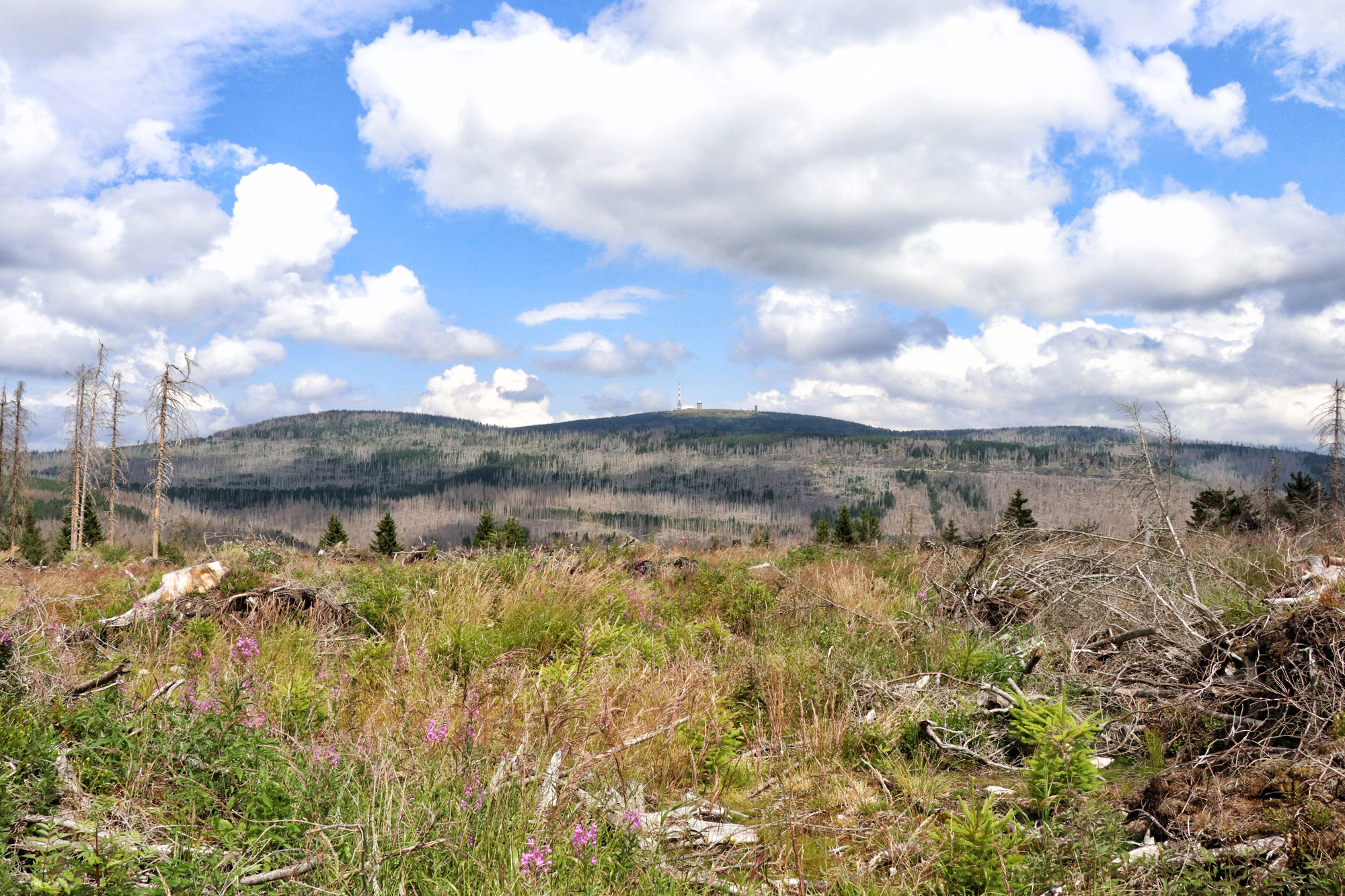 Harzer Grenzweg - Etappe: Brocken - Braunlage