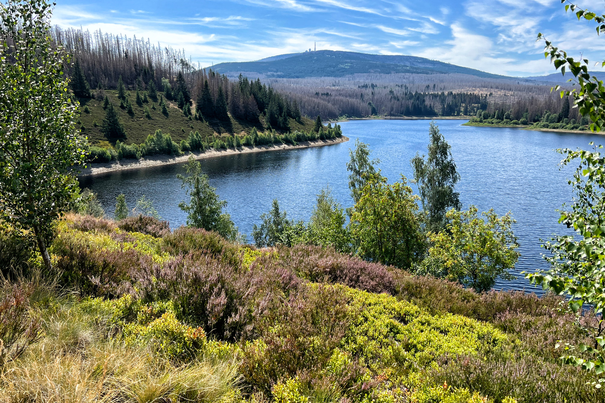 Harzer Grenzweg - Etappe: Ilsenburg - Brocken, Eckerstausee