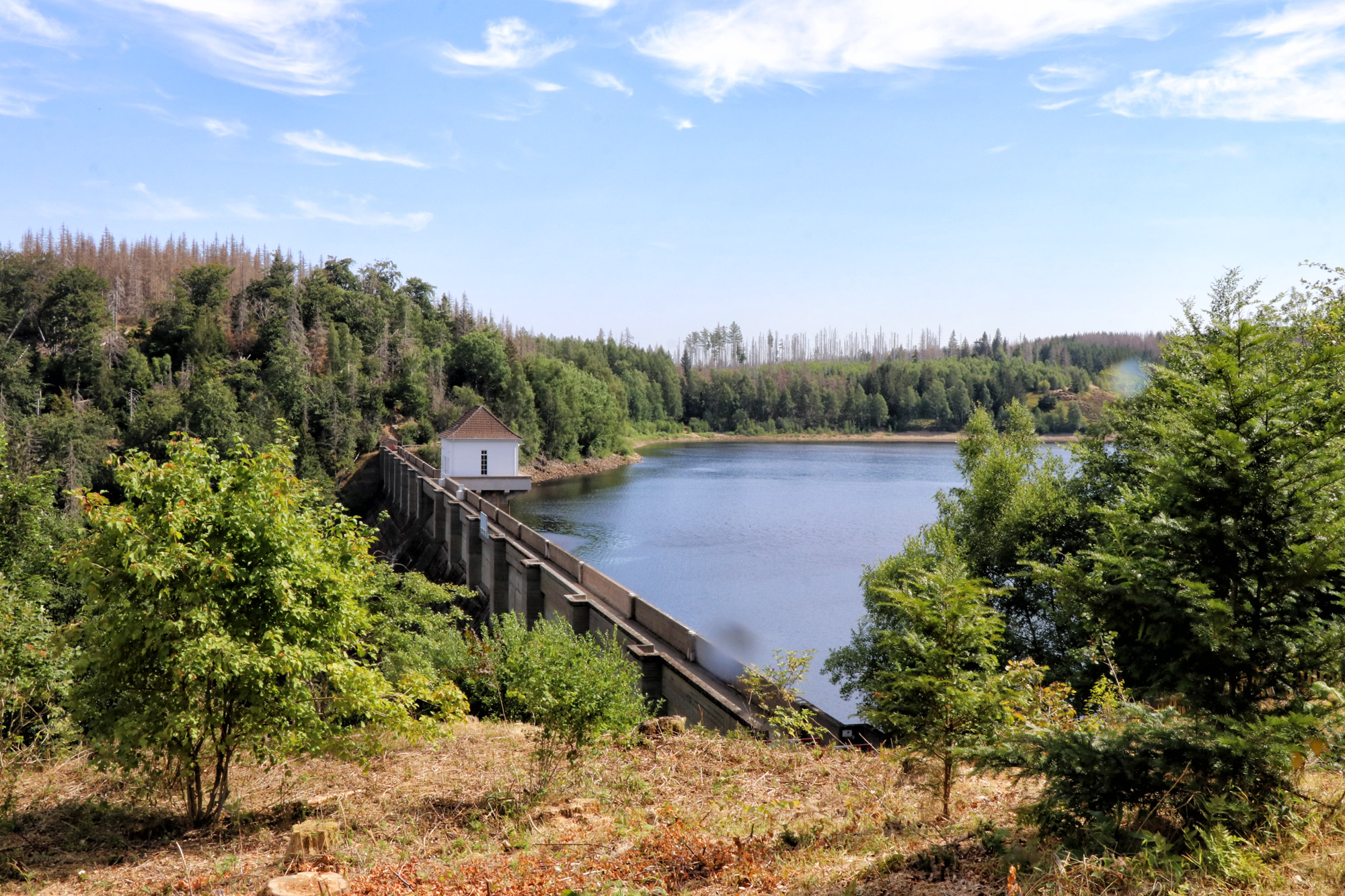 Harzer Grenzweg - Eckertalsperre - Etappe: Ilsenburg - Brocken