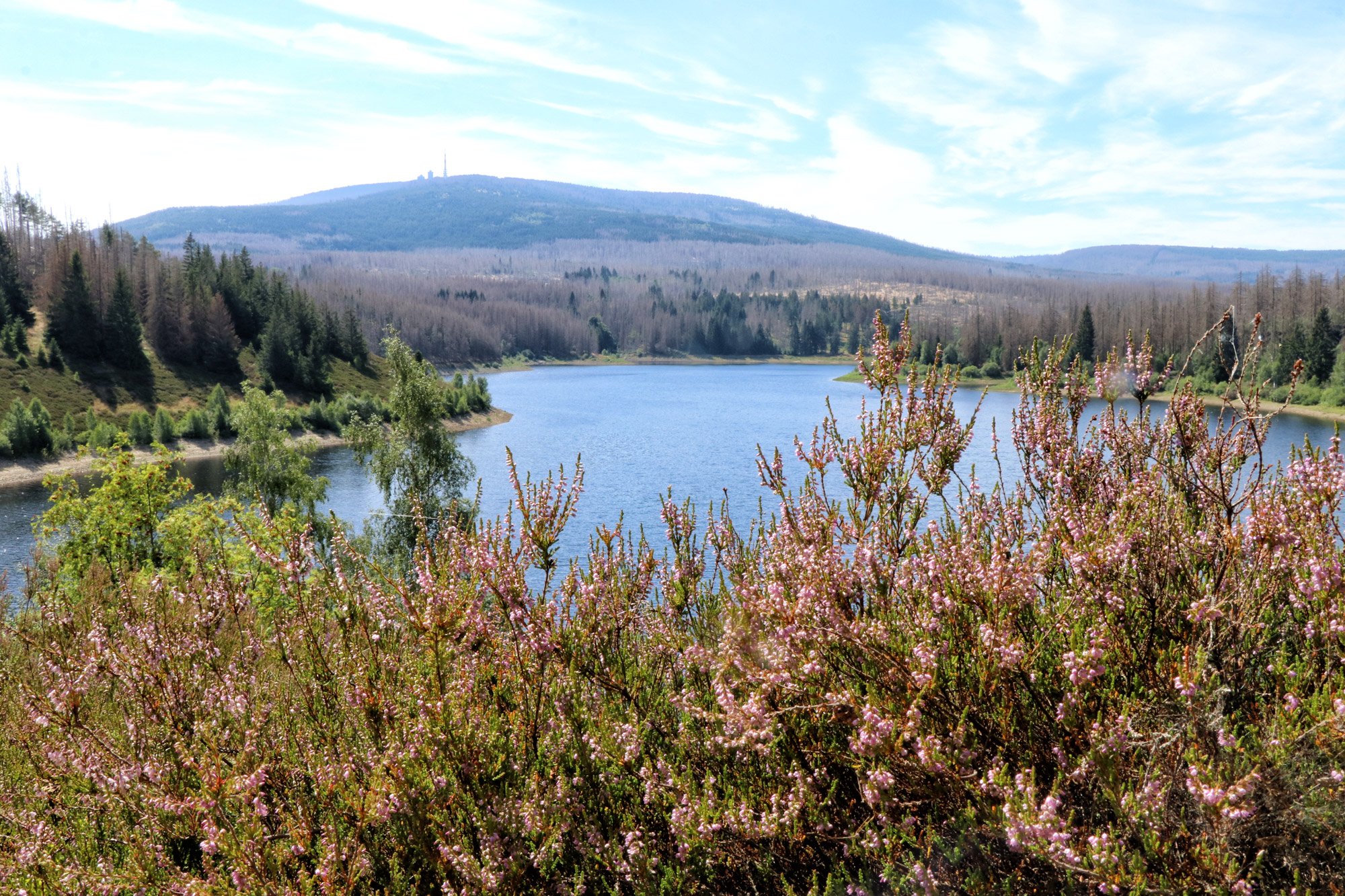 Harzer Grenzweg - Eckertalstausee- Etappe: Ilsenburg - Brocken