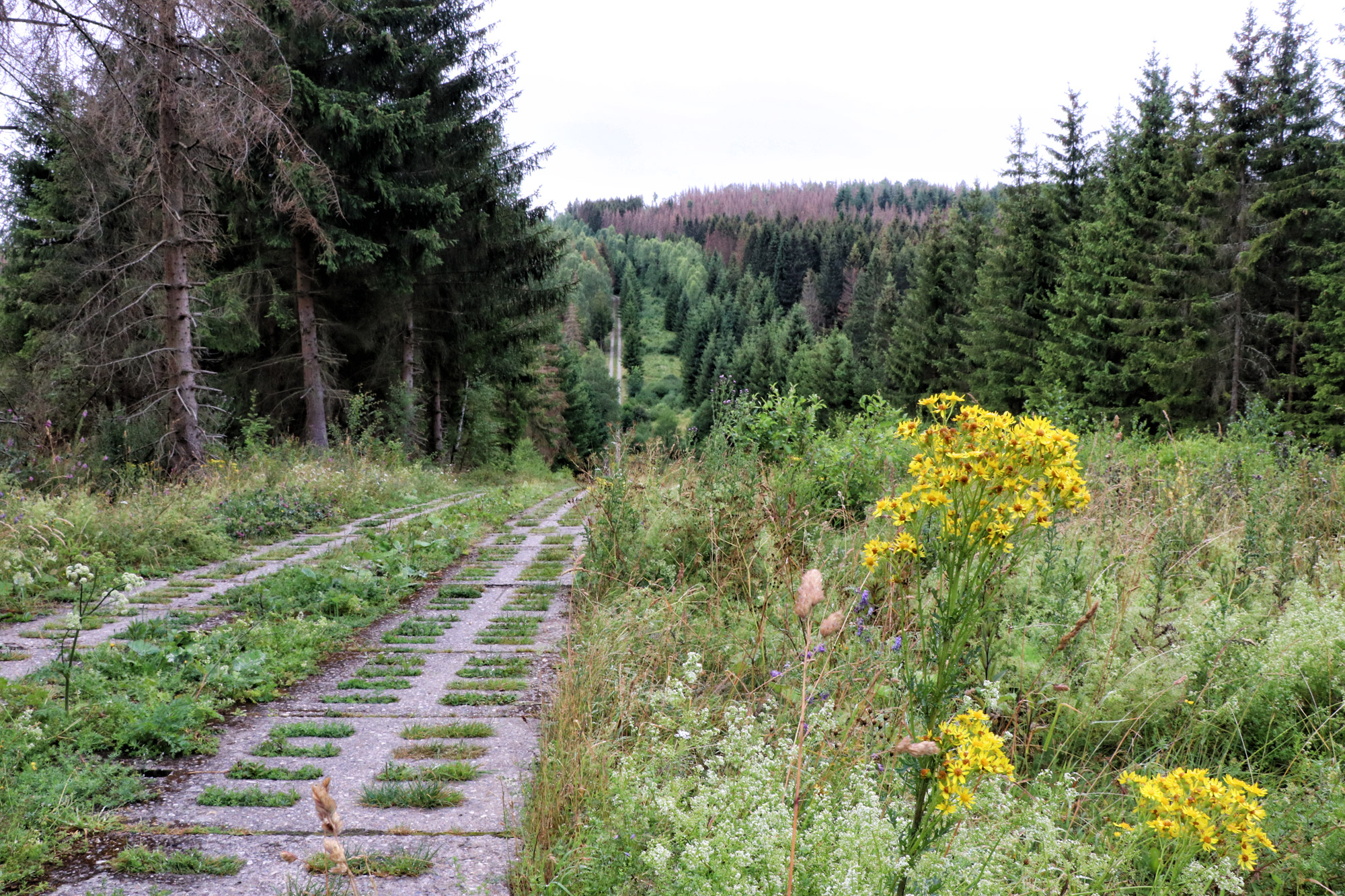 Harzer Grenzweg - Etappe: Sorge - Walkenried, Freiland-Grenzmuseum