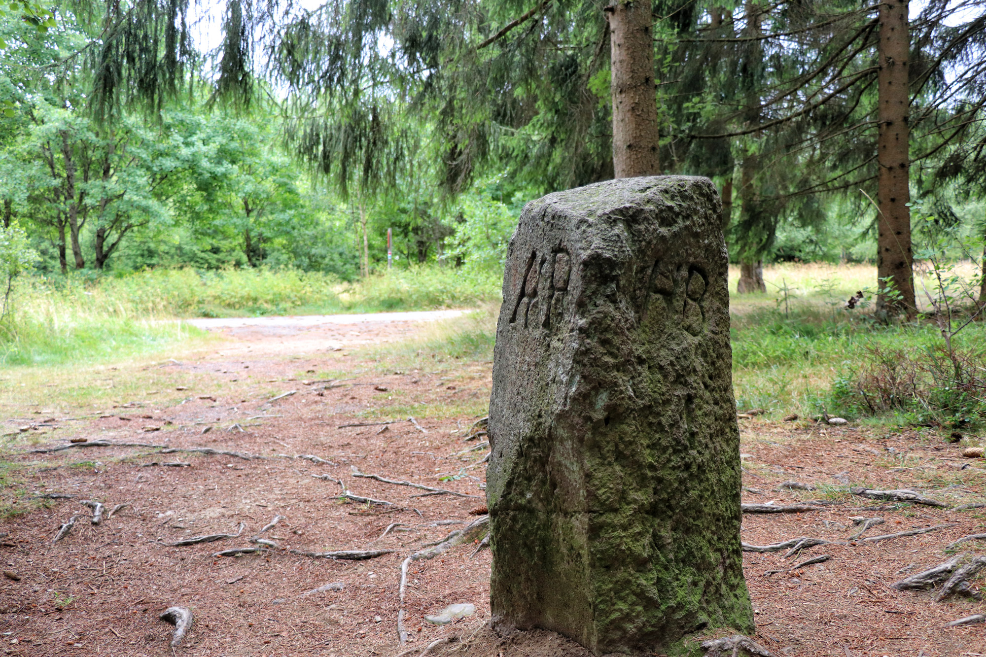 Harzer Grenzweg - Etappe: Sorge - Walkenried, Dreiländerstein