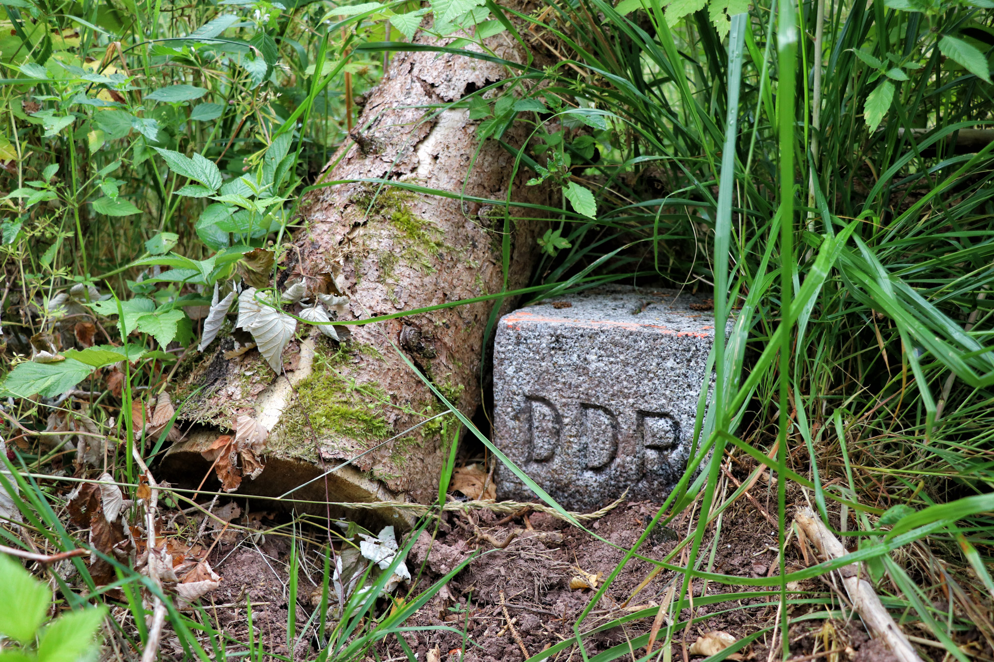 Harzer Grenzweg - Etappe: Sorge - Walkenried