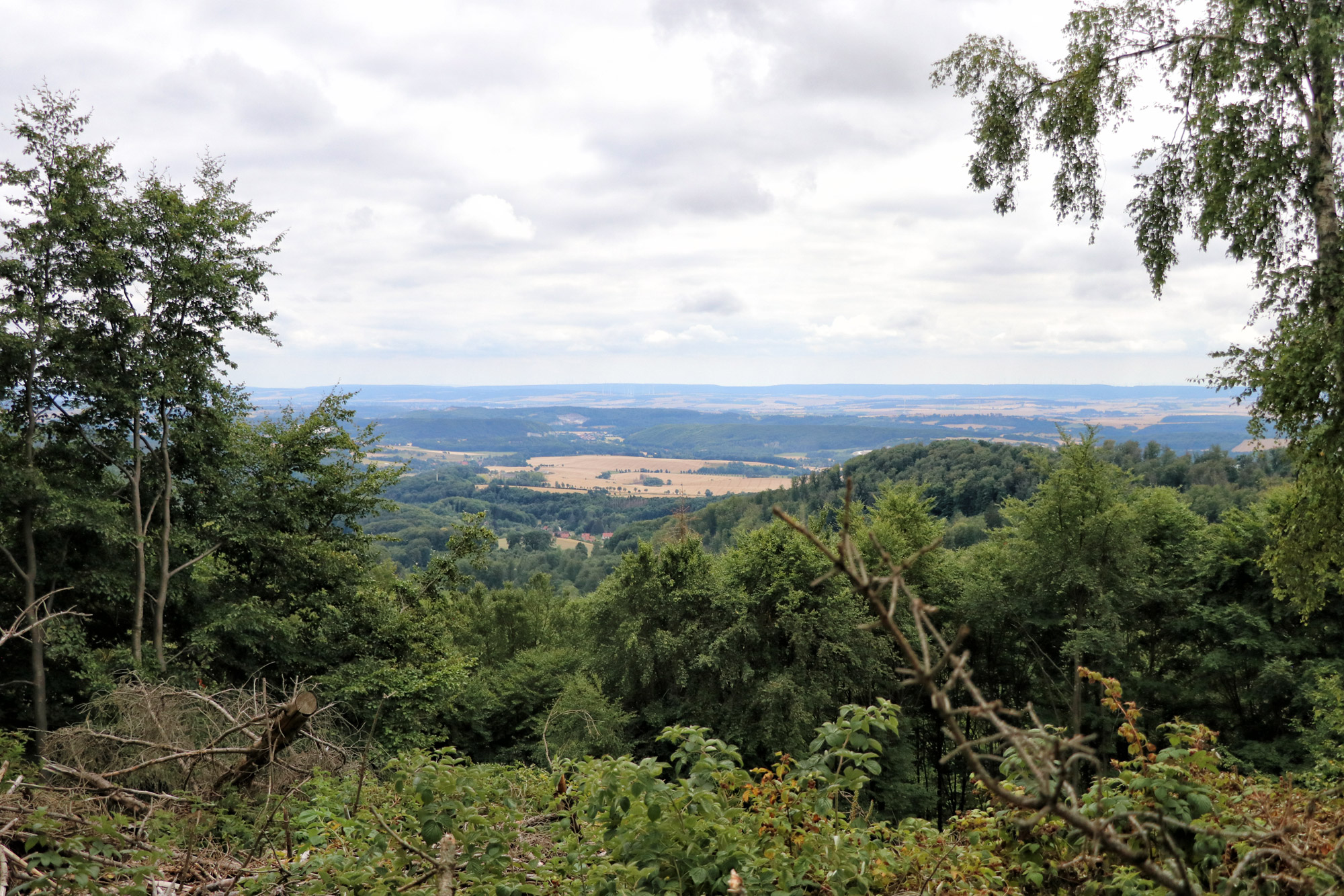 Harzer Grenzweg - Etappe: Sorge - Walkenried