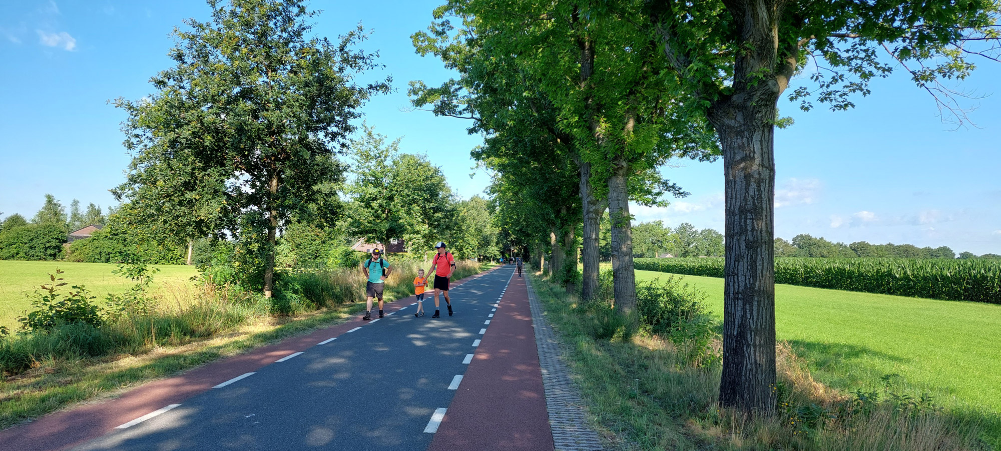 Wandelen: 58e editie Kennedymars in Someren