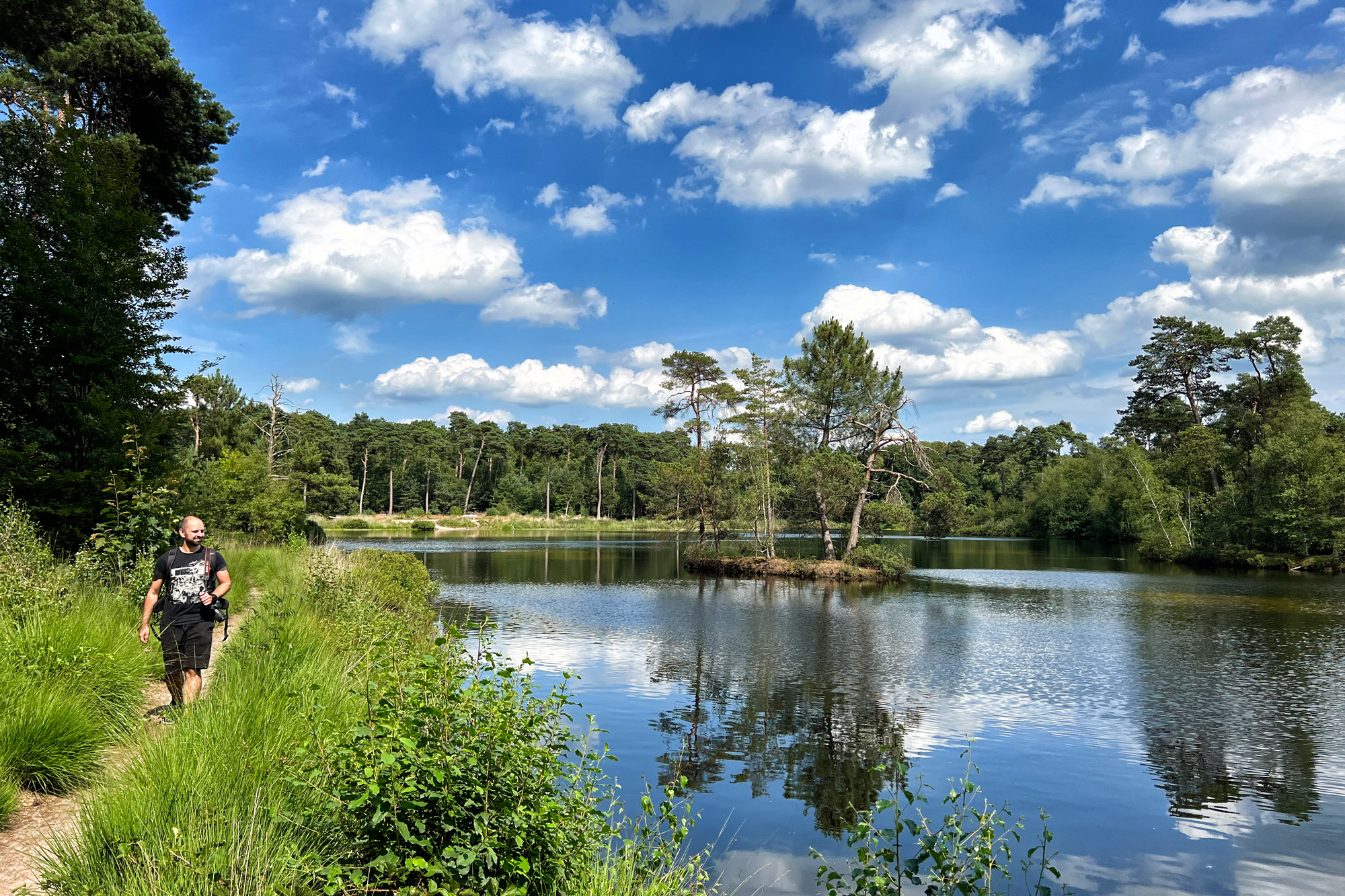 Wat te doen in Oisterwijk - Oisterwijkse Bossen en Vennen