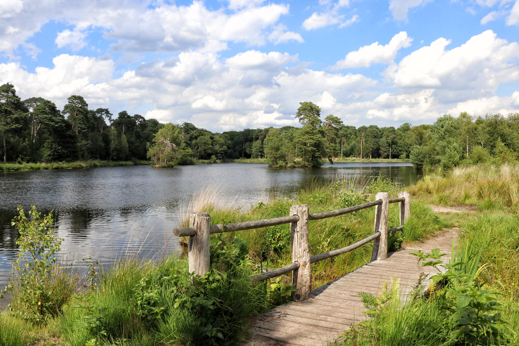 Wat te doen in Oisterwijk - Oisterwijkse Bossen en Vennen