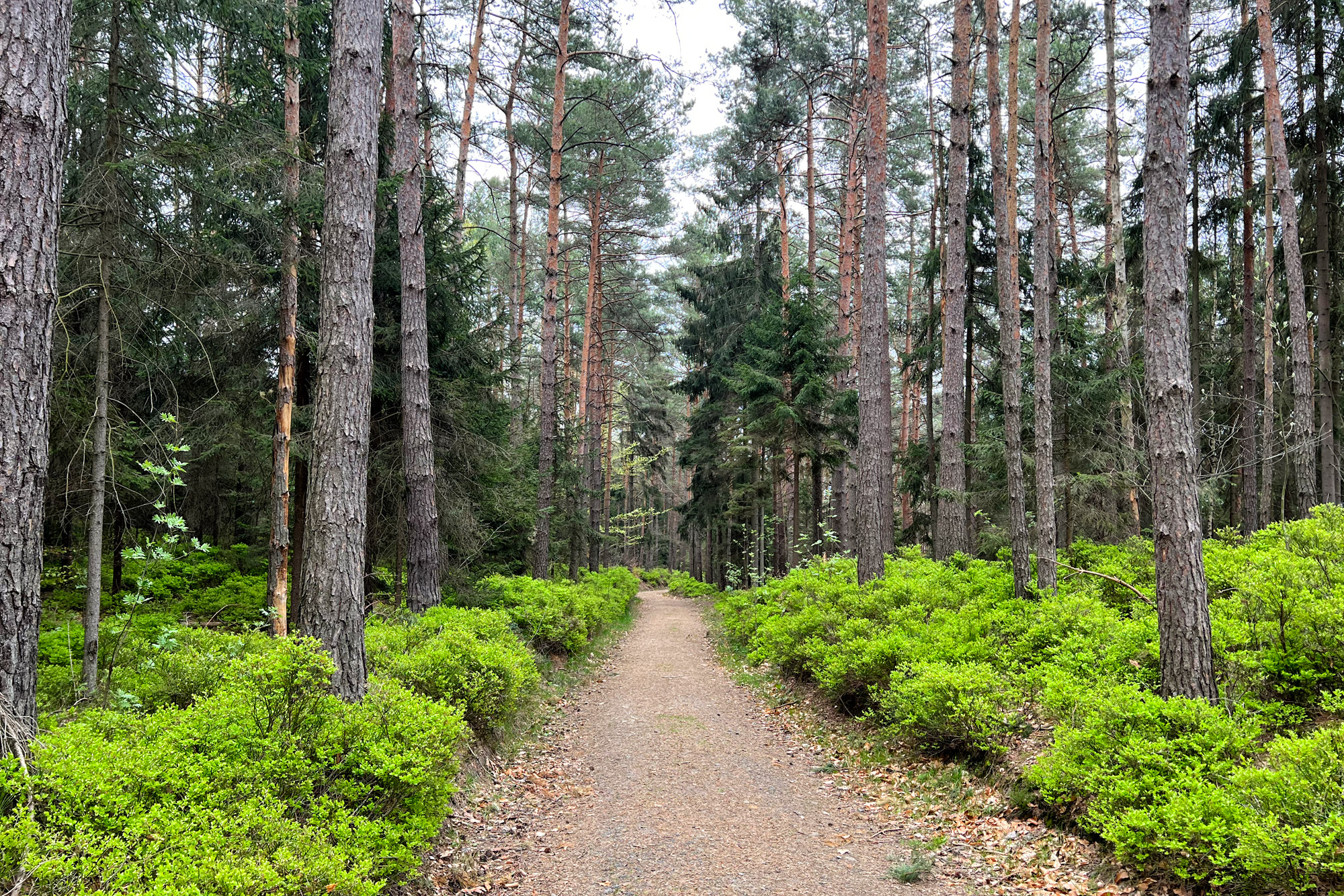 Wandelen in Duitsland: Malerweg Etappe 3