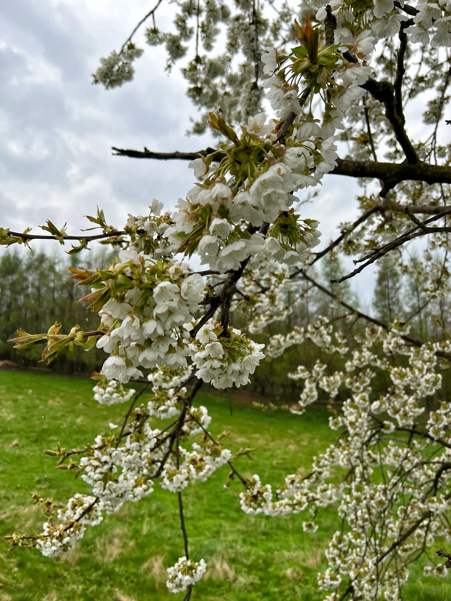 Wandelen in Duitsland: Malerweg Etappe 3