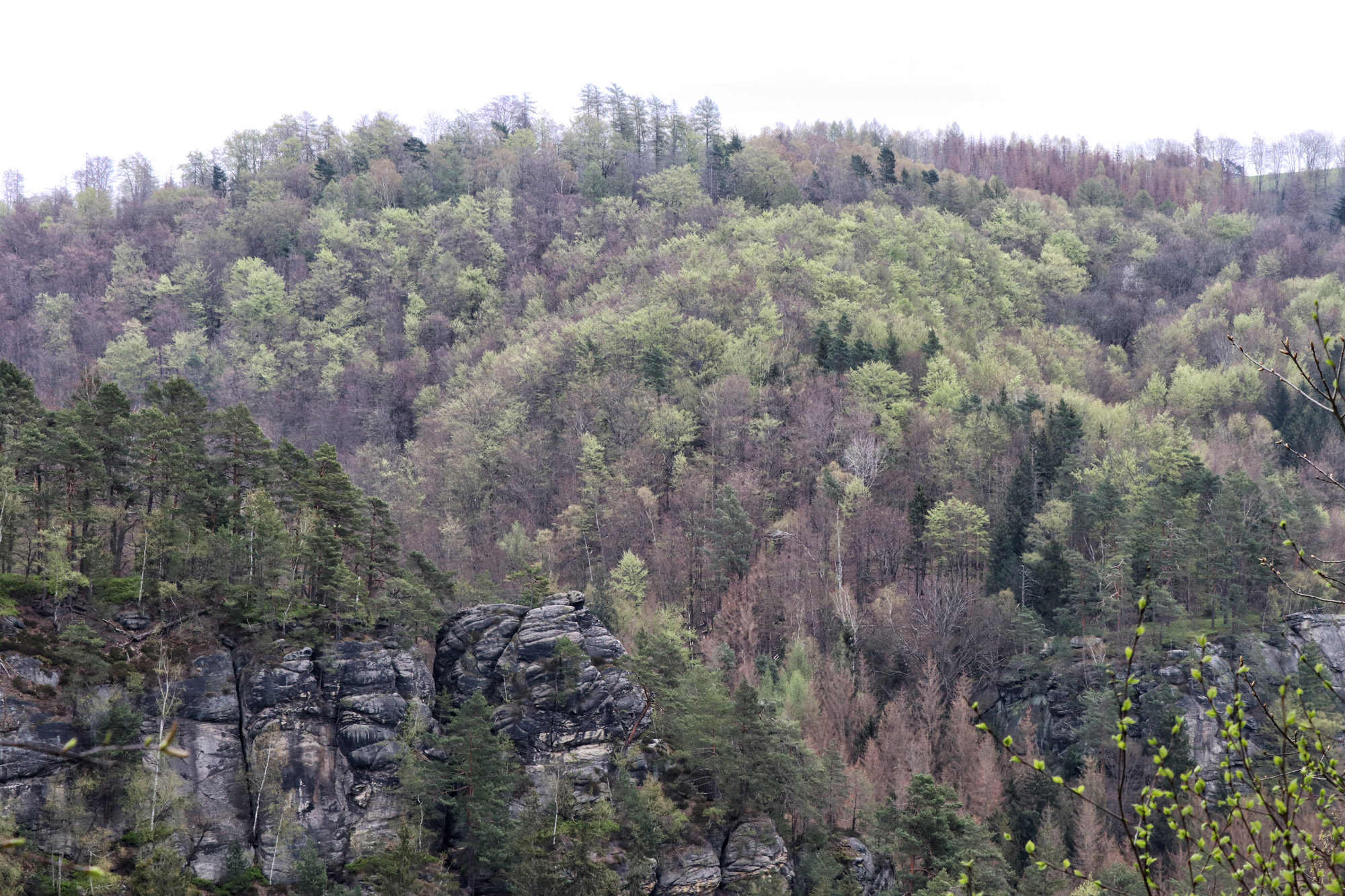 Wandelen in Duitsland: Malerweg Etappe 3