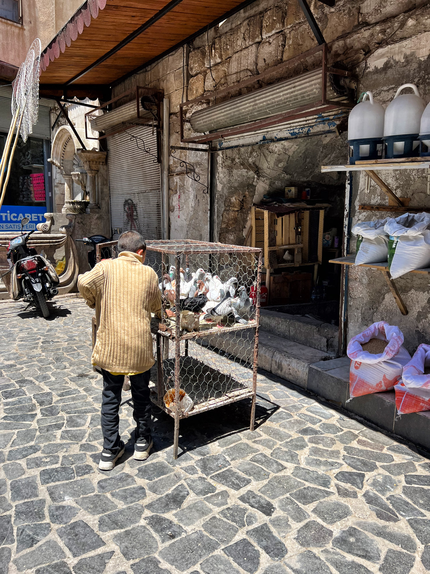 Doen in Şanlıurfa - Duiven