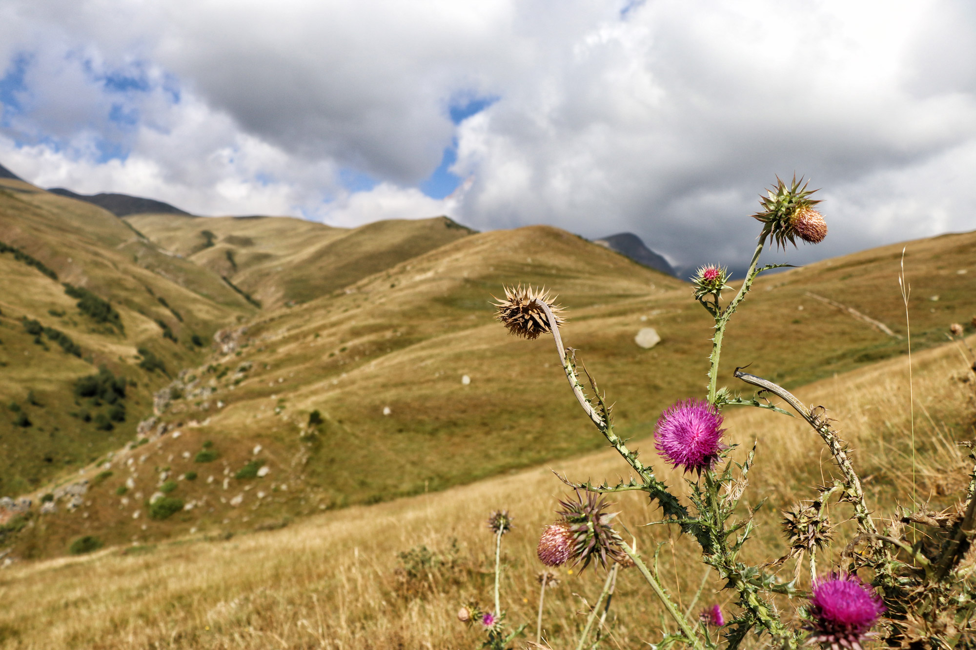 Wandelen in Georgië - Kazbegi naar de Gergeti Trinity Church