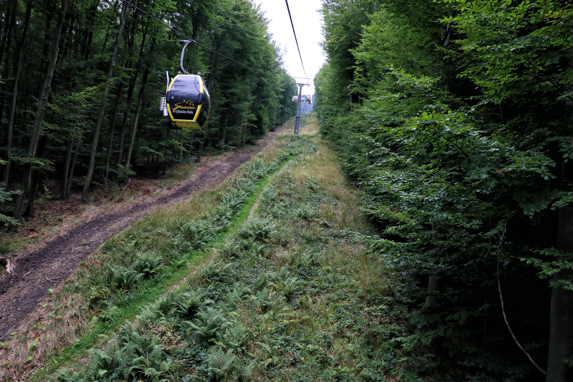 Silezië, Polen - Szyndzielnia, Beskidengebergte