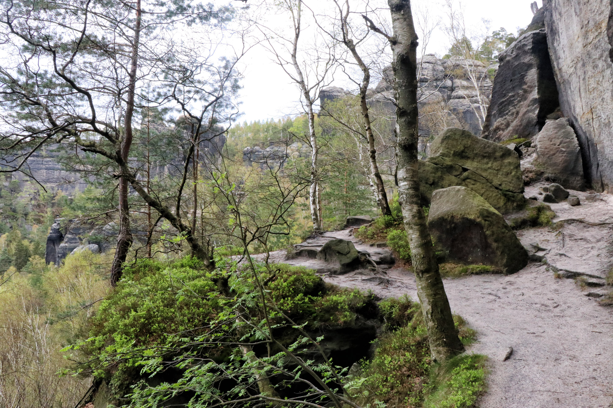 Wandelen in Duitsland - Malerweg Etappe 4, Sächsische Schweiz