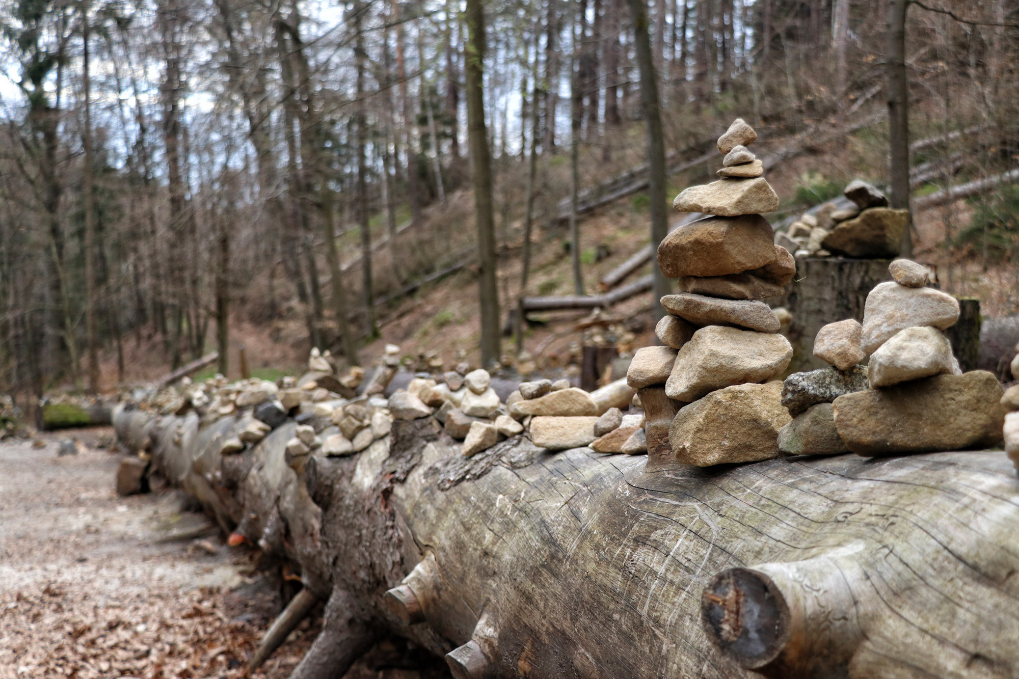 Wandelen in Duitsland - Malerweg Etappe 4, Sächsische Schweiz