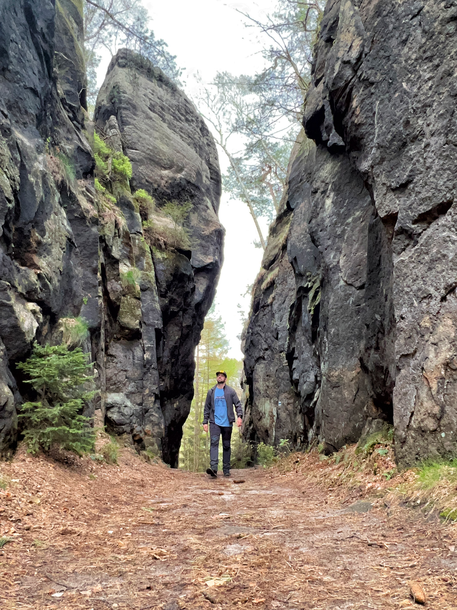 Wandelen in Duitsland - Malerweg Etappe 4, Sächsische Schweiz