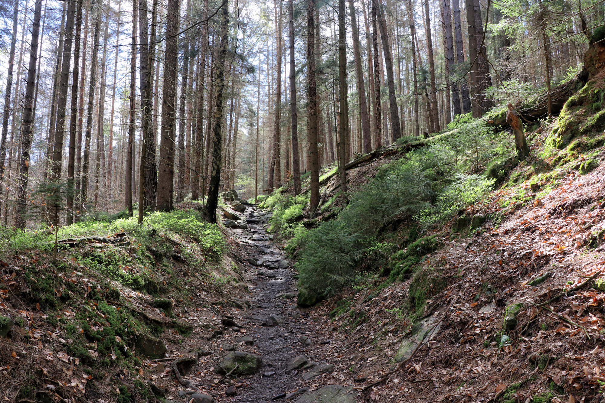 Wandelen in Duitsland - Malerweg Etappe 4, Sächsische Schweiz