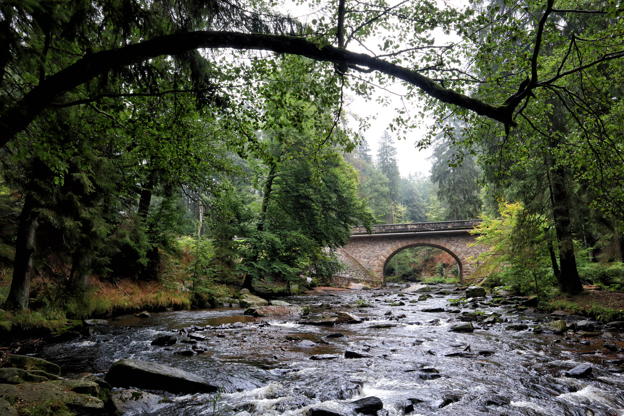 Tsjechië, Oost-Bohemen - Adelaarsgebergte, Zemská brána