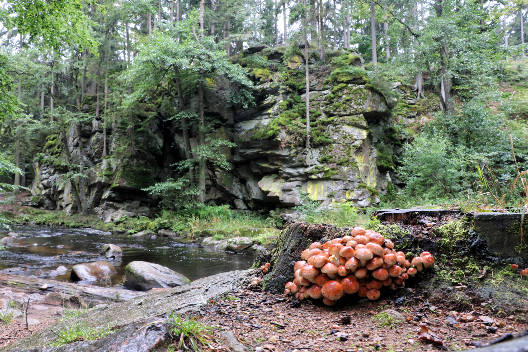 Tsjechië, Oost-Bohemen - Adelaarsgebergte, Zemská brána