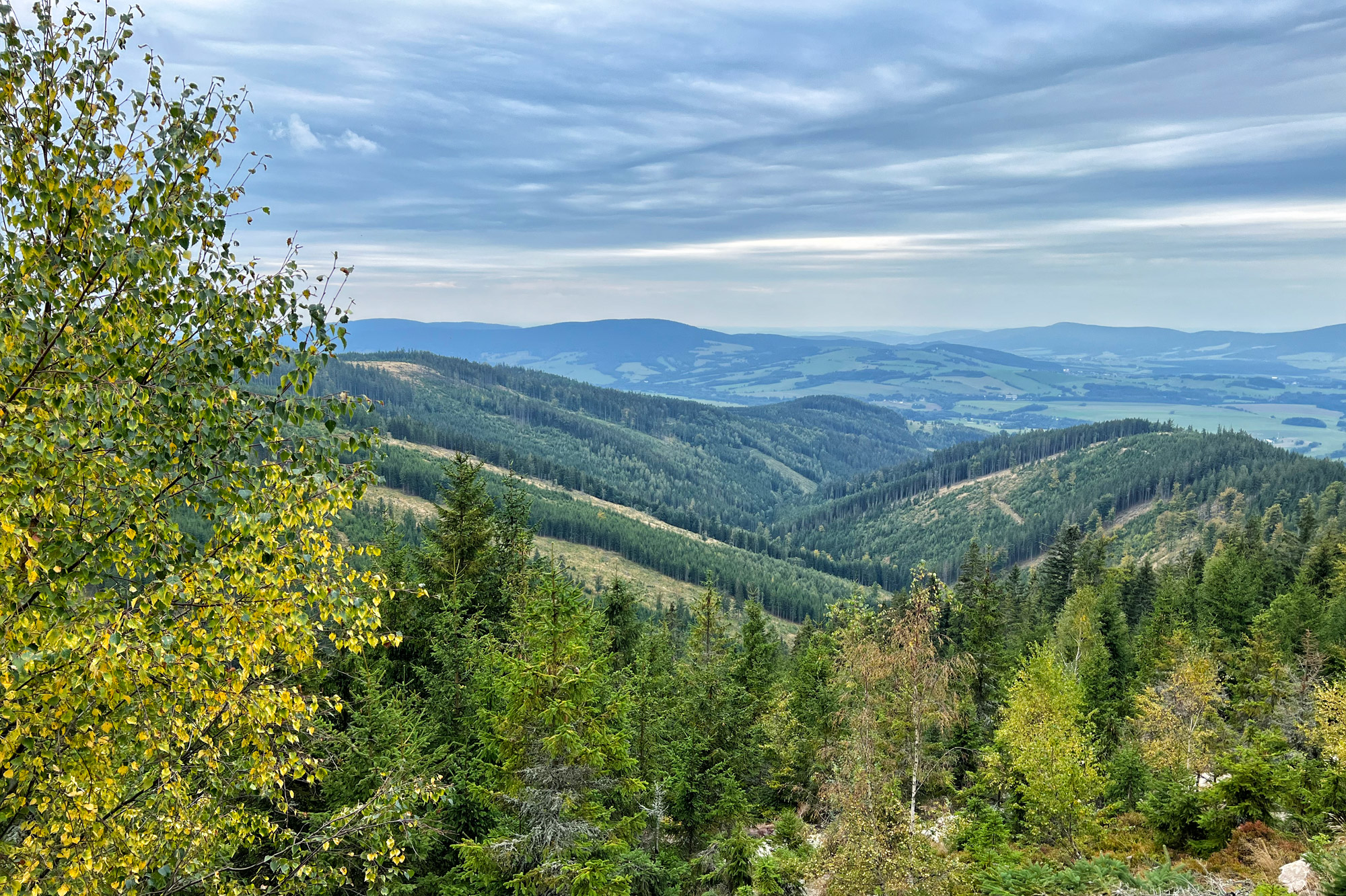 Tsjechië, Oost-Bohemen - Dolní Morava