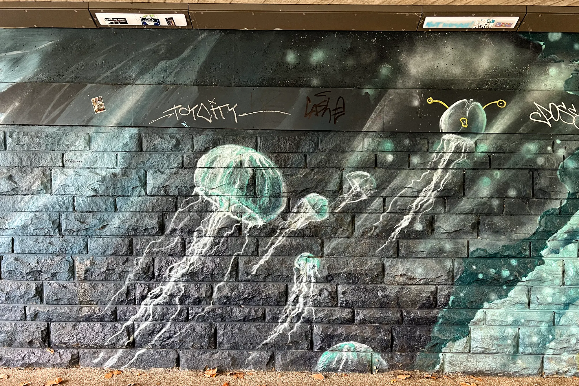 Streetart in Paderborn - 'Paderborn und seine Graffitis'