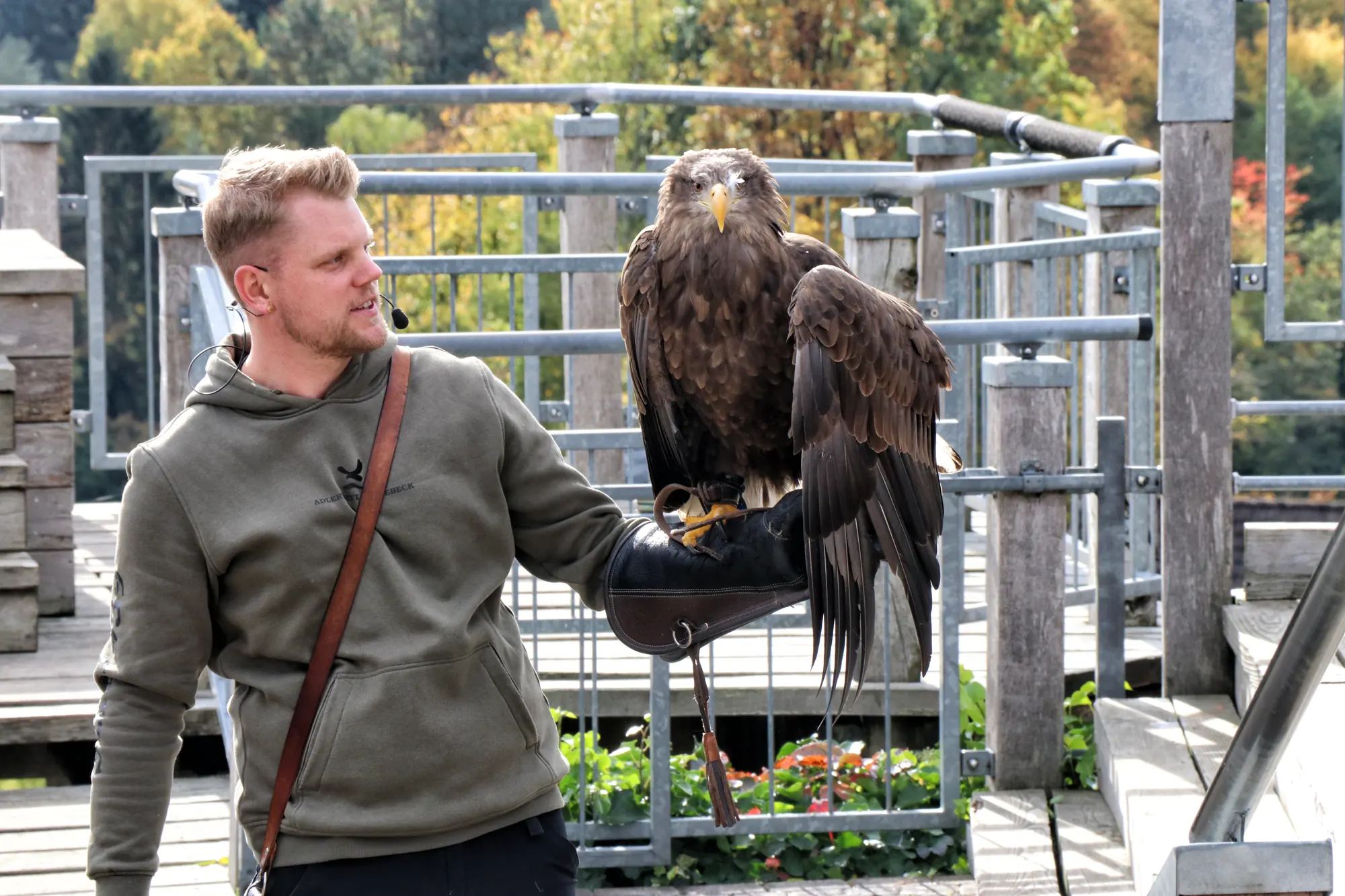 Teutoburger Wald - Adlerwarte Berlebeck