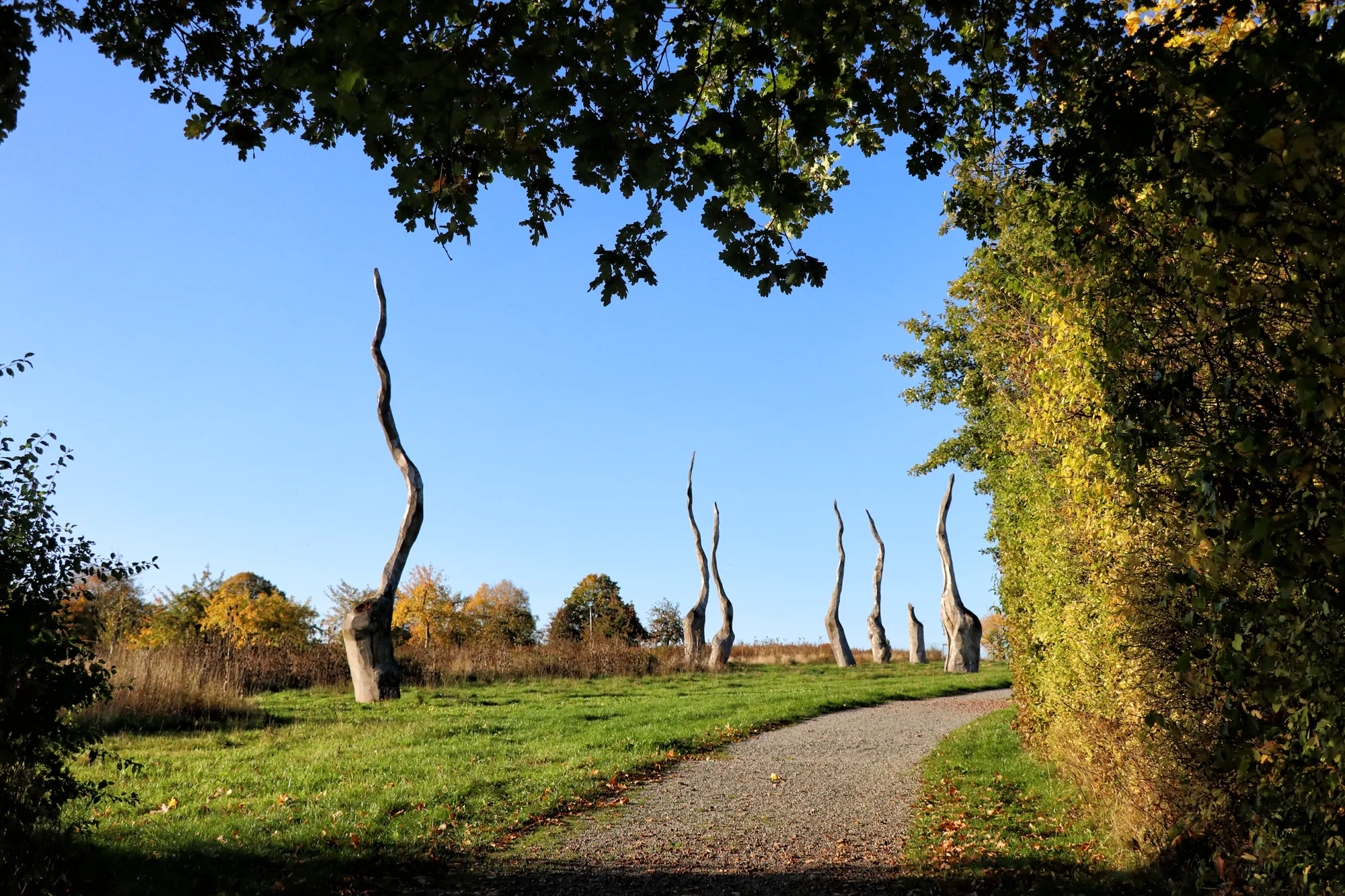 Teutoburger Wald - Forsterteiche Staffpark Lemgo - wandelen