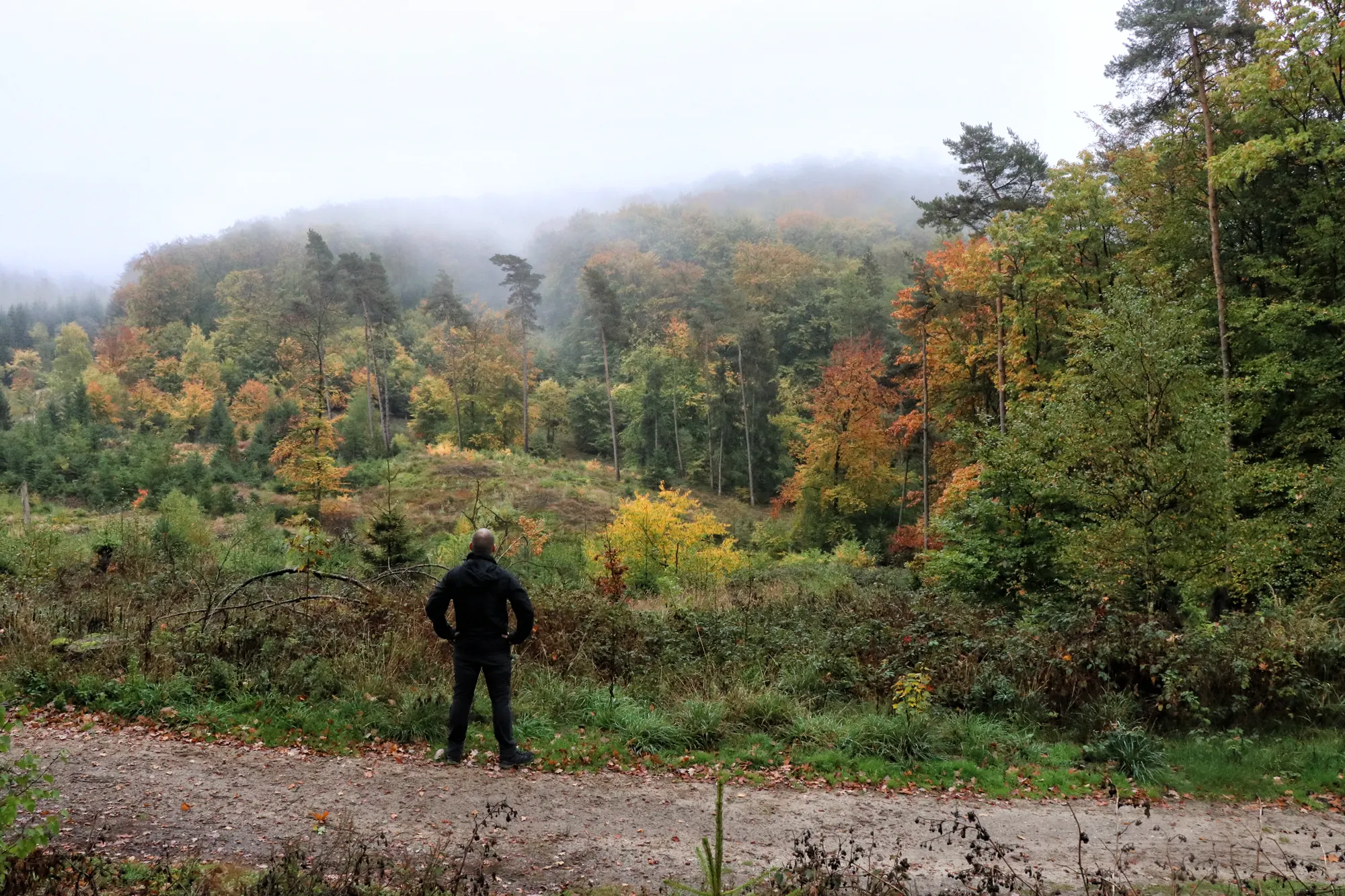 Teutoburger Wald - Ochsentour - wandelen