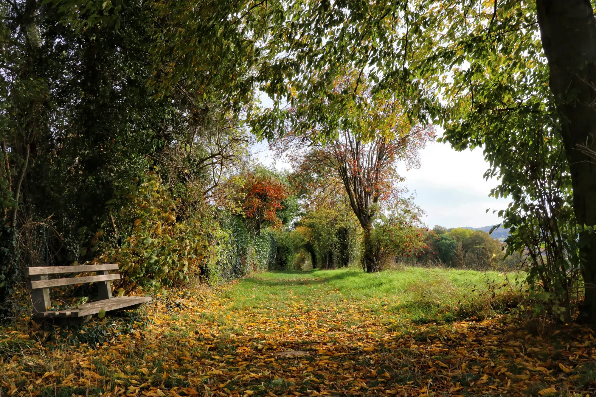 Teutoburger Wald - wandelen in de herfst