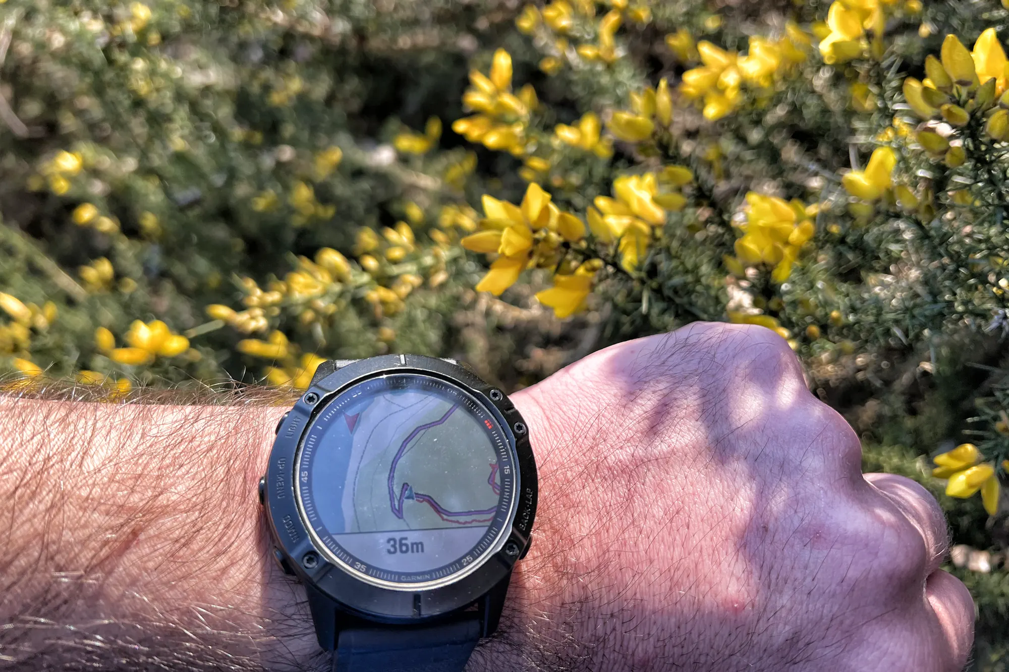 Review: Garmin Fenix 6X Pro