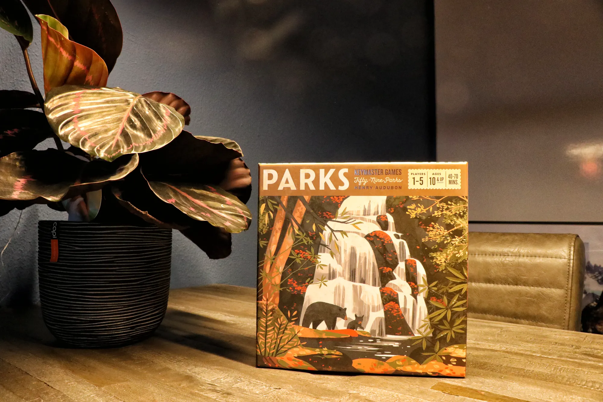 Review: Parks, bordspel