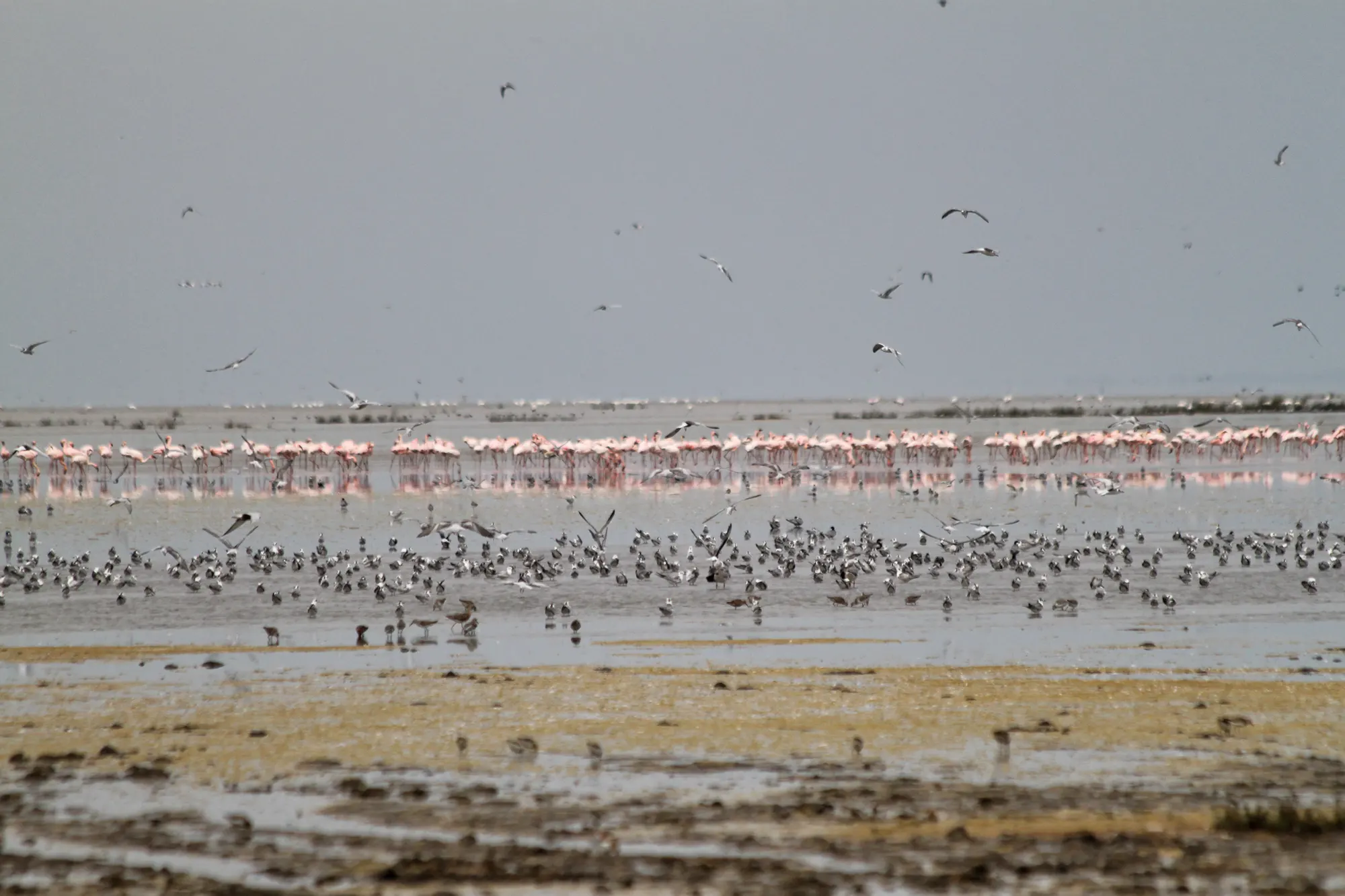 Lake Manyara National Park - Tanzania