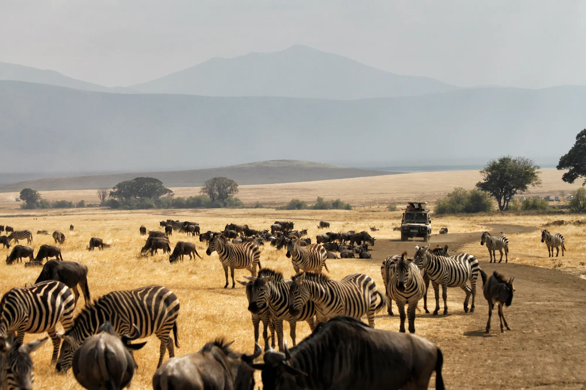 Ngorongoro Conservation Crater - Tanzania