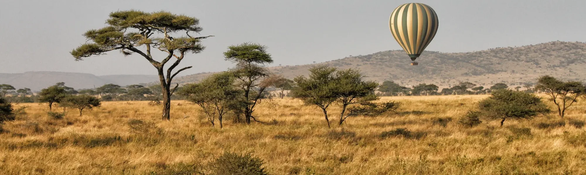 Serengeti National Park - Tanzania