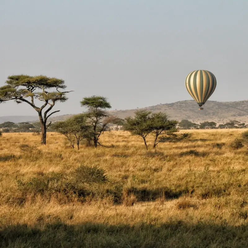 De mooiste nationale parken van Tanzania