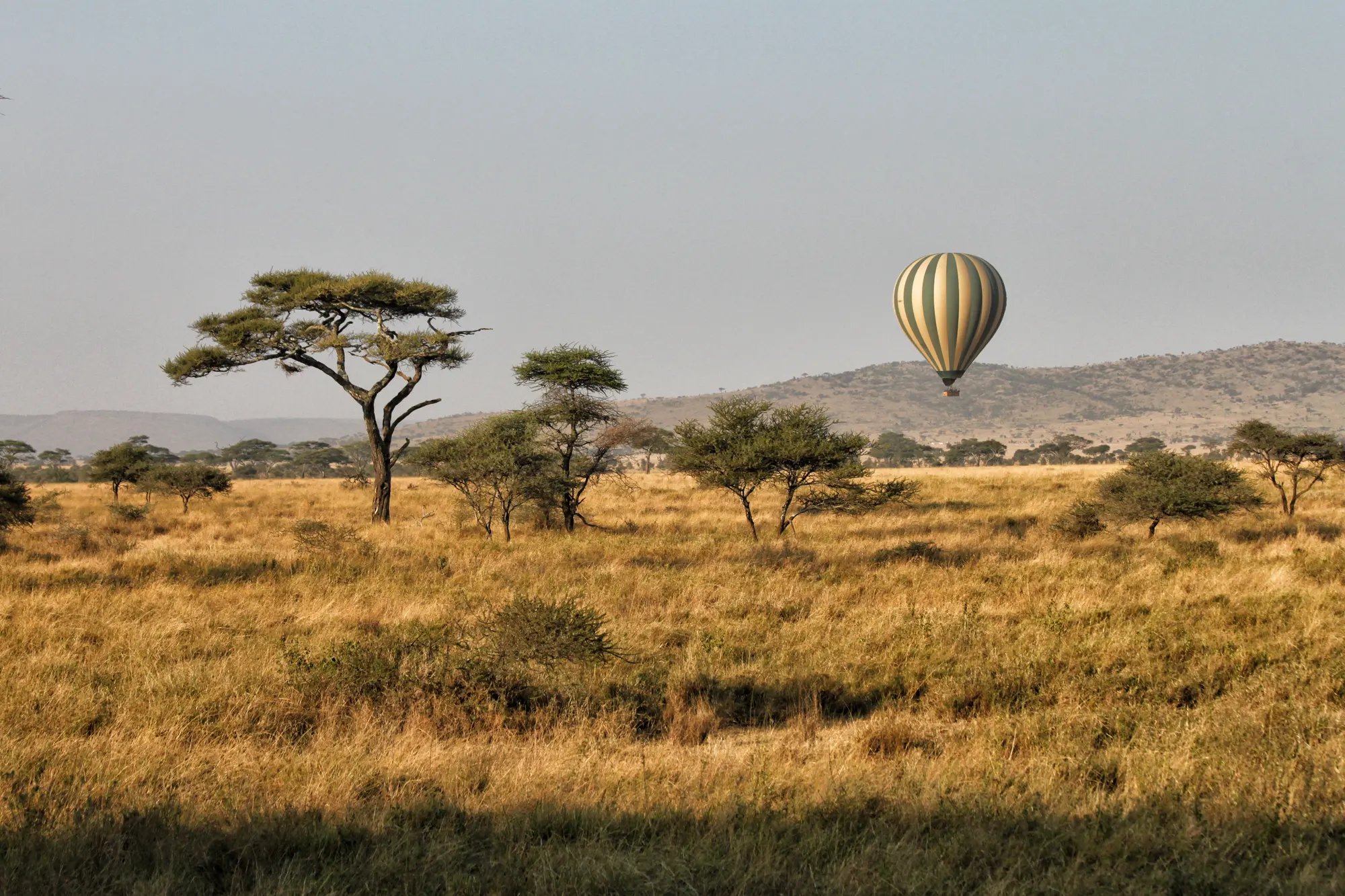 Serengeti National Park - Tanzania