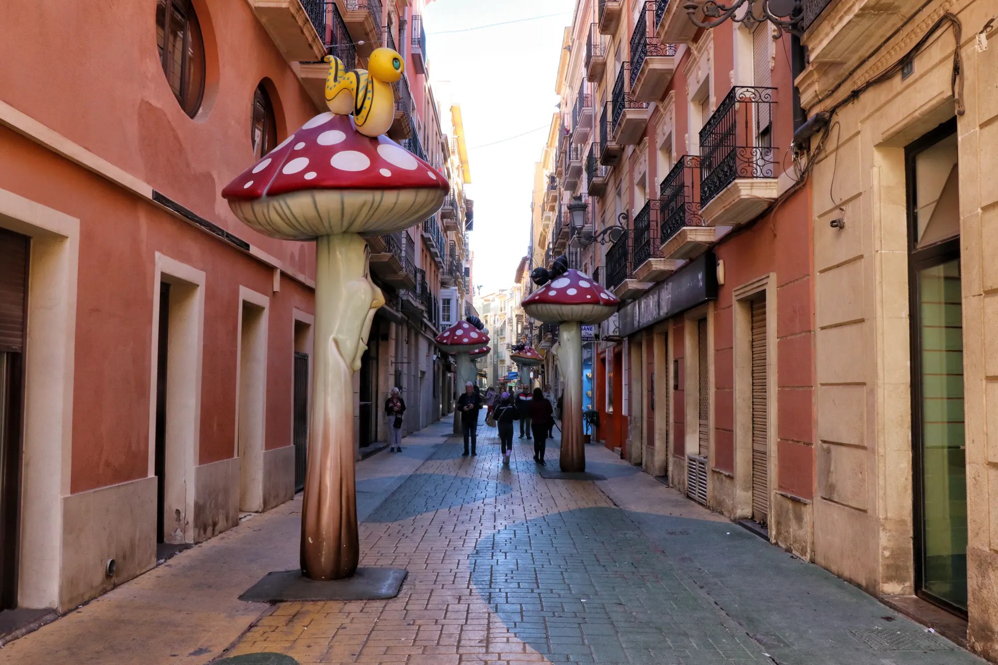 Alicante - De Paddenstoelenstraat