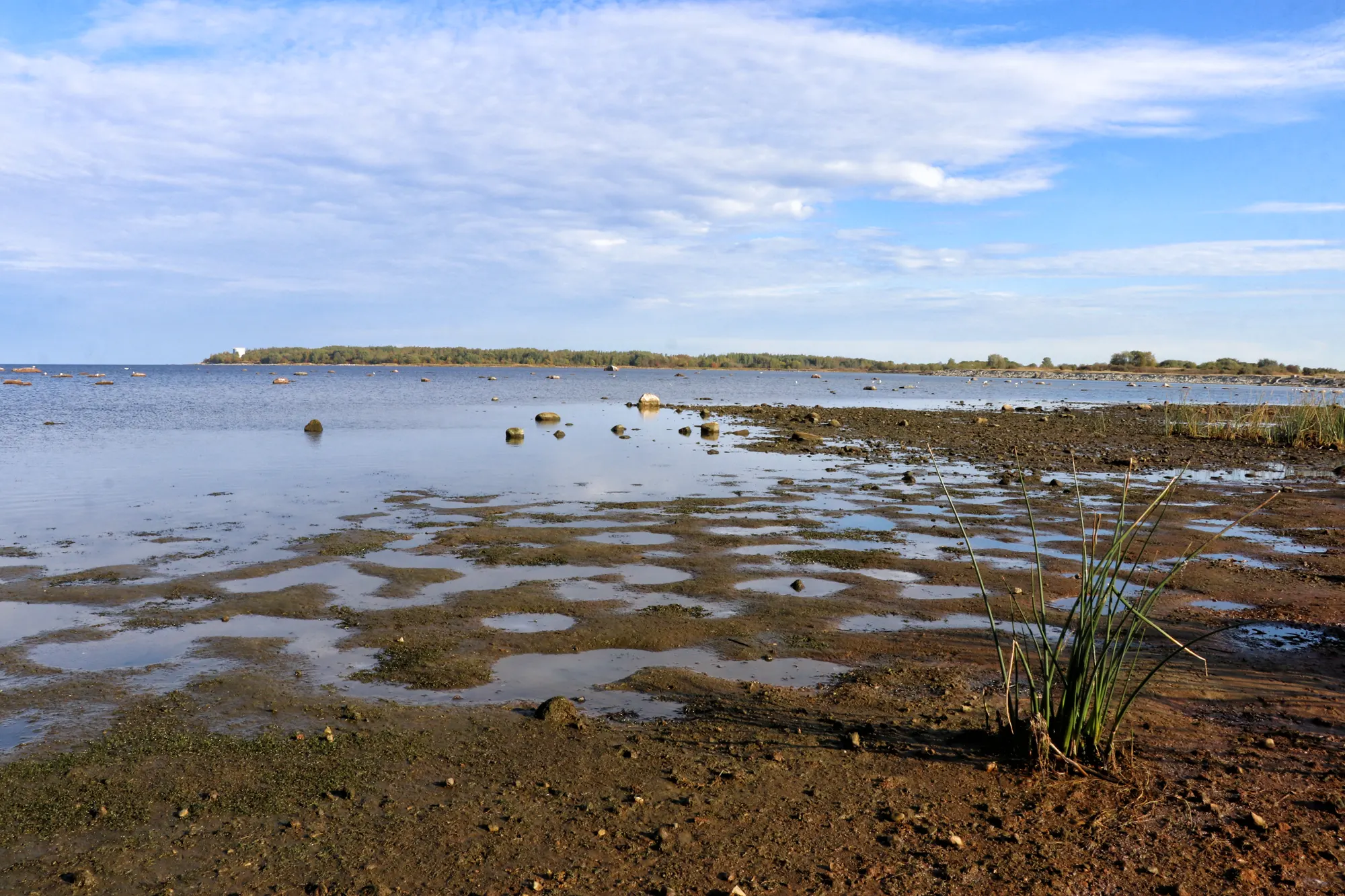 Kopli, Tallinn - Neeme